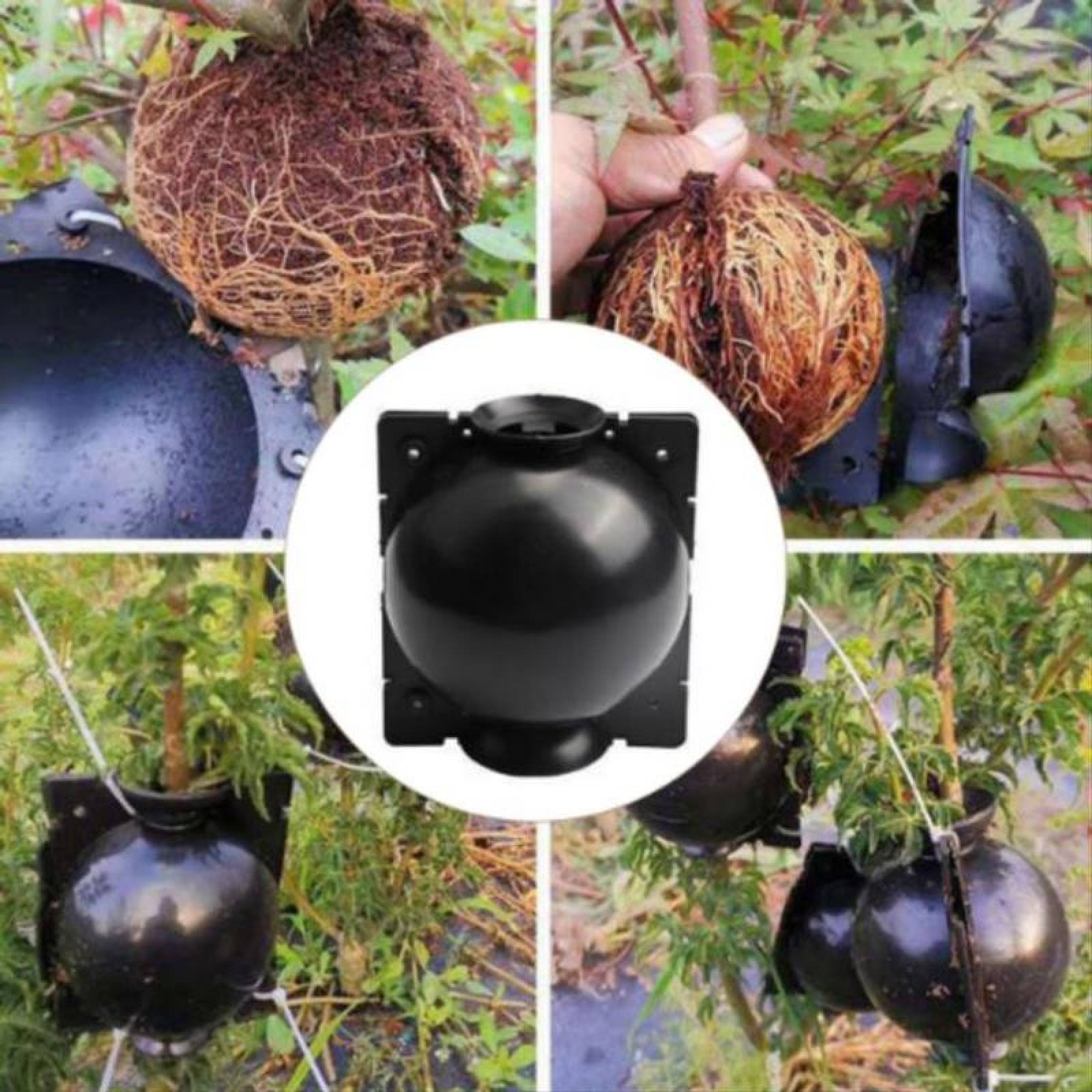 Dispositivo de Enraizamiento MXOOR-008-3 20 Pzas 10x8cm Negro Polipropileno, RootPro