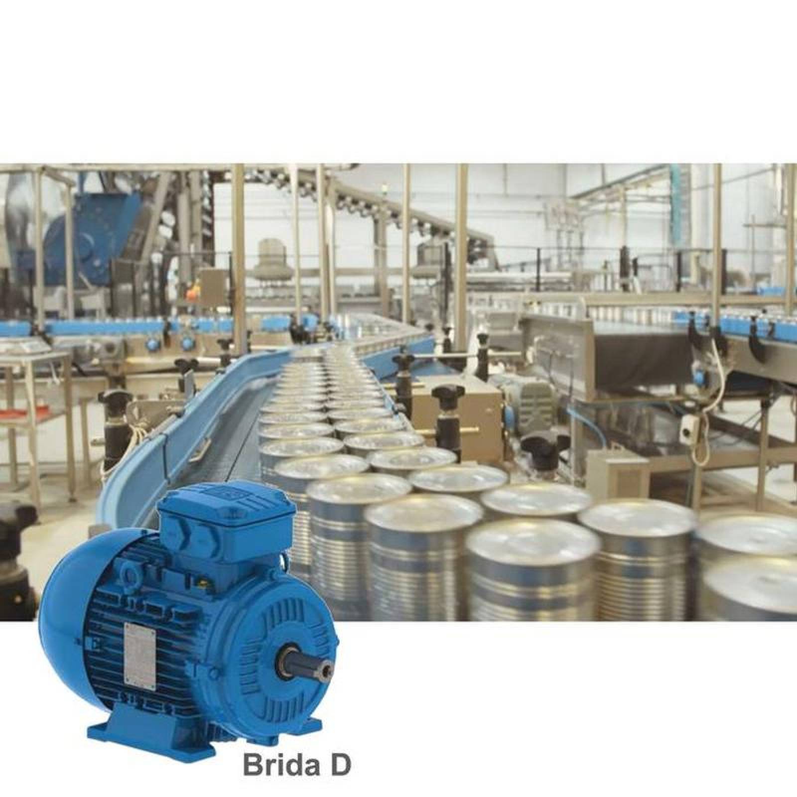 Motores Trifásicos Brida D MXORD-002-15 10HP 2 Polos 7,5kw 230460V 3F 60Hz Brida D Factor de Servicio 1,25, AlumMotorD