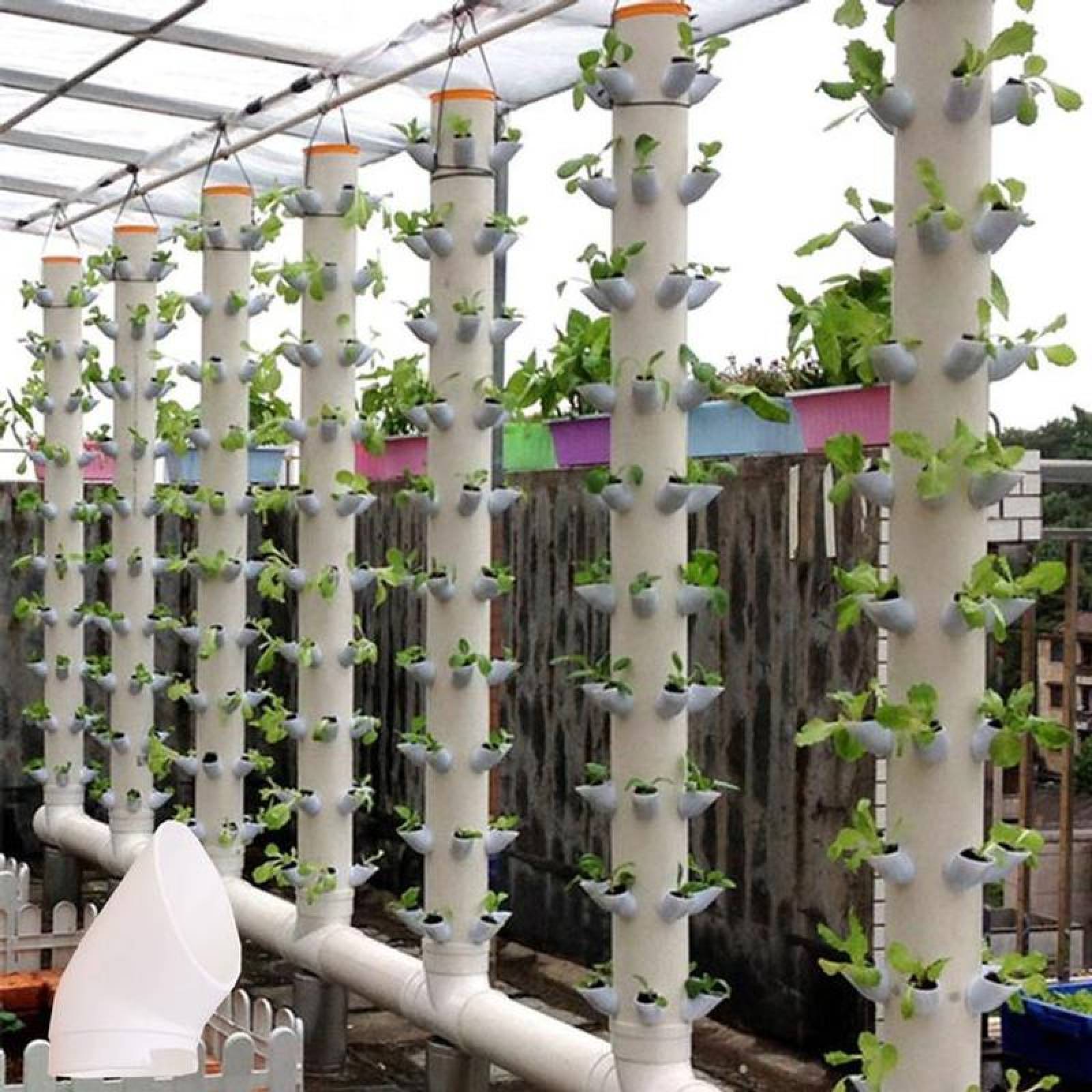 Tubo de Cultivo en Vegetales MXUOP-007-2 20 Pzas 3,8cm 30 Espesor 0,3cm Polipropileno Blanco, CupCro