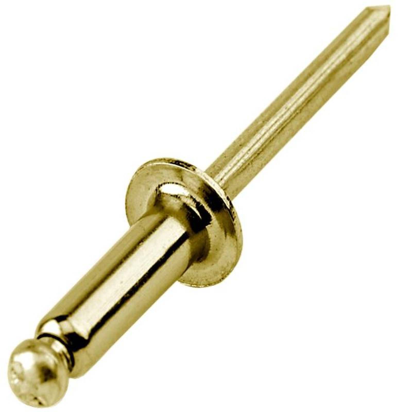 Remaches para Puertas MXRVO-043 500Pzas # 5 Long 532" ó 516mm Cab,Domo Tipo Blind Acabado Oro Metálico, RivGold