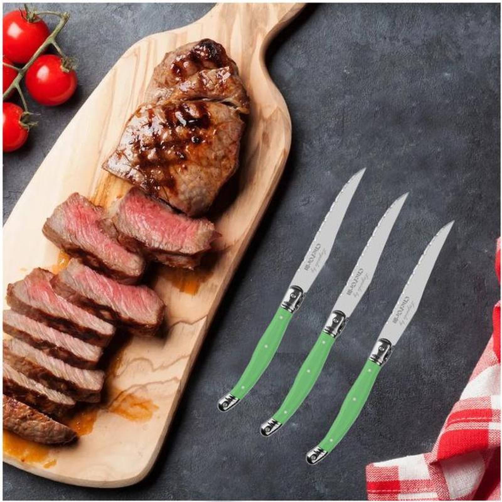 Cuchillos Franceses Alto Filo MXEGE-007-2 8 pzas 23 cm Verde Acero Inoxidable Cuchillo para carne, LaguioleGreen