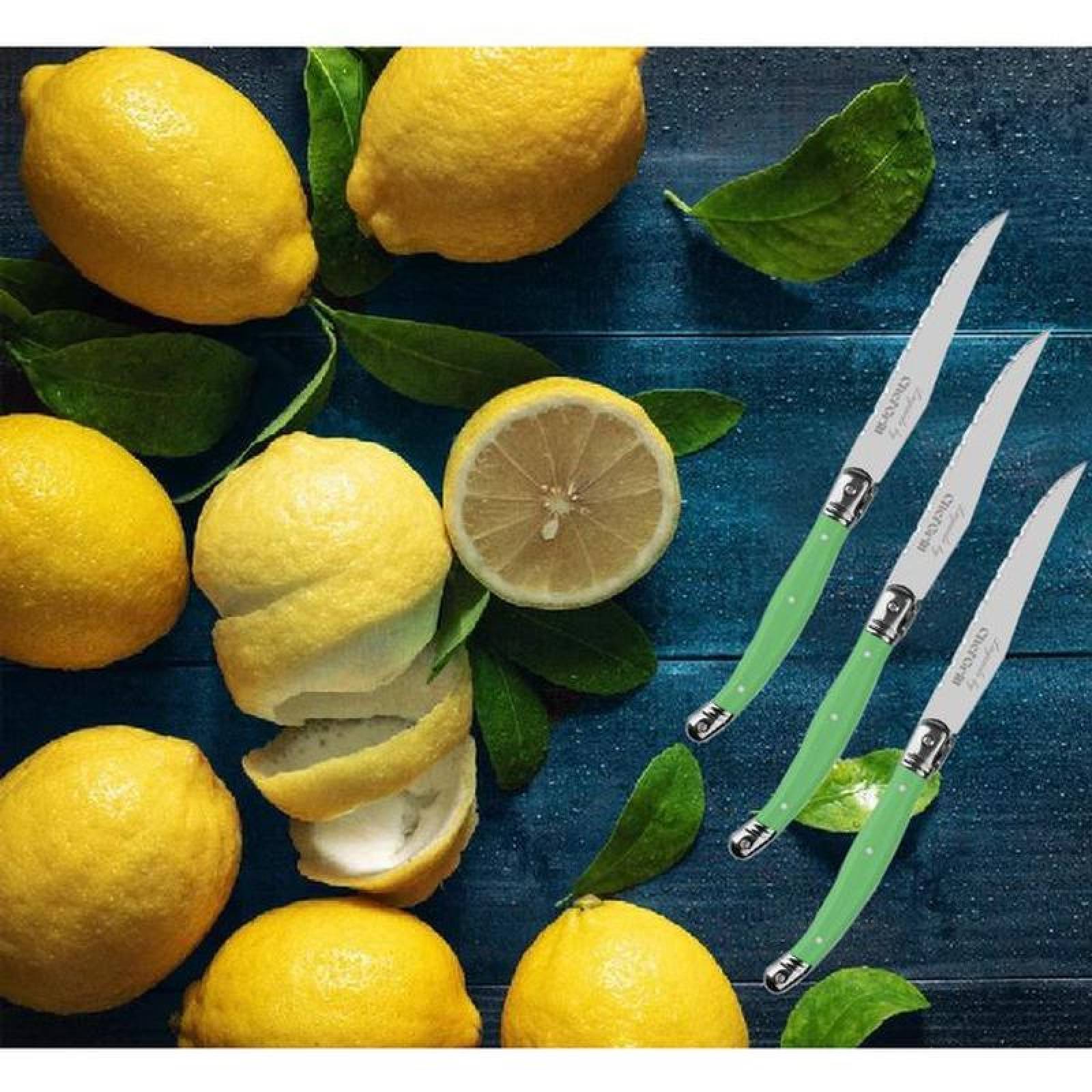 Cuchillo de Mango de Plástico ABS MXEGE-011-1 16 pzas 23 cm Verde Acero Inoxidable Cuchillo para carne, LaguioleGreen