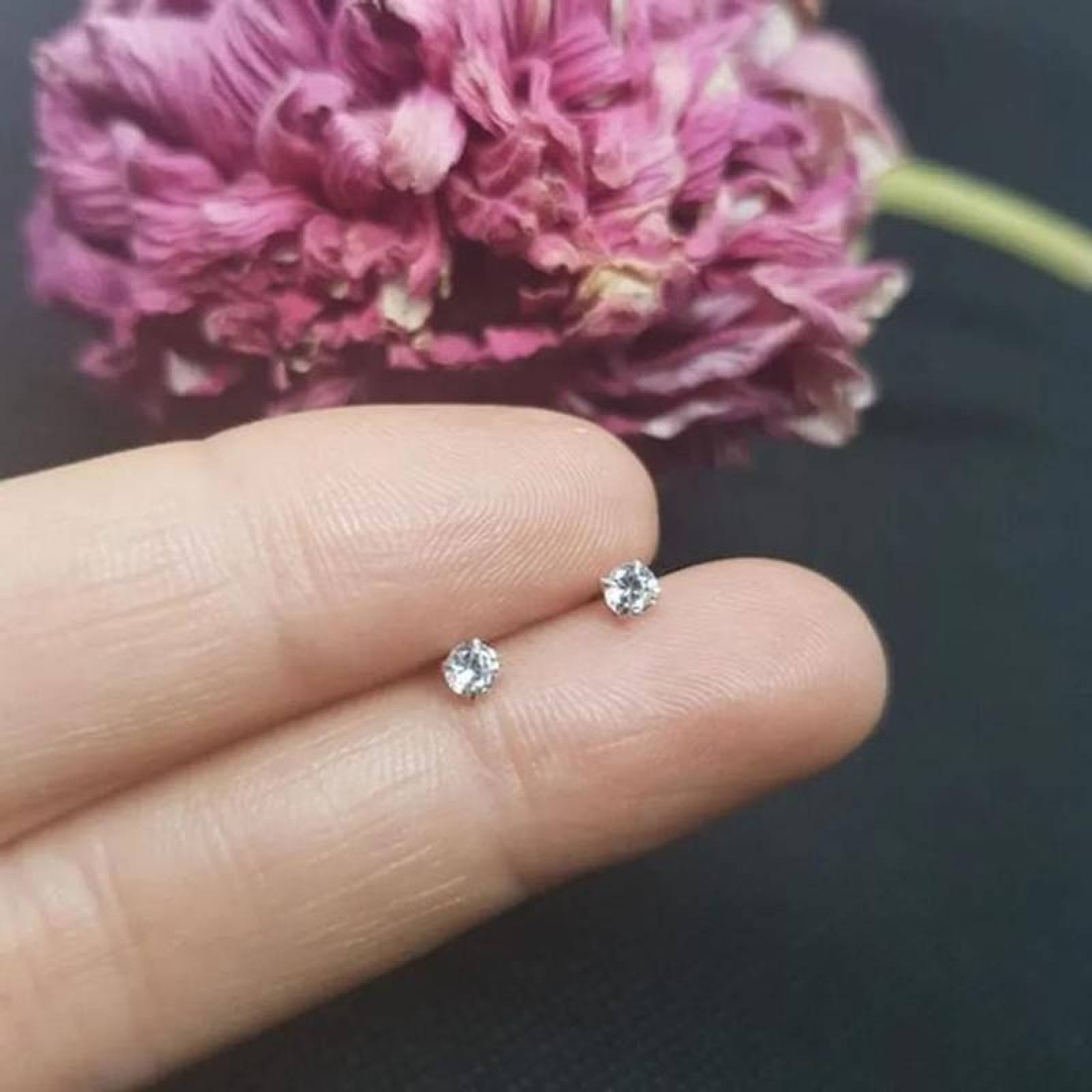 Aretes Pequeños MXDMX-005-5 5 Pzas 5mm Aretes de Broquel Color Plata Metal, DiamLux5