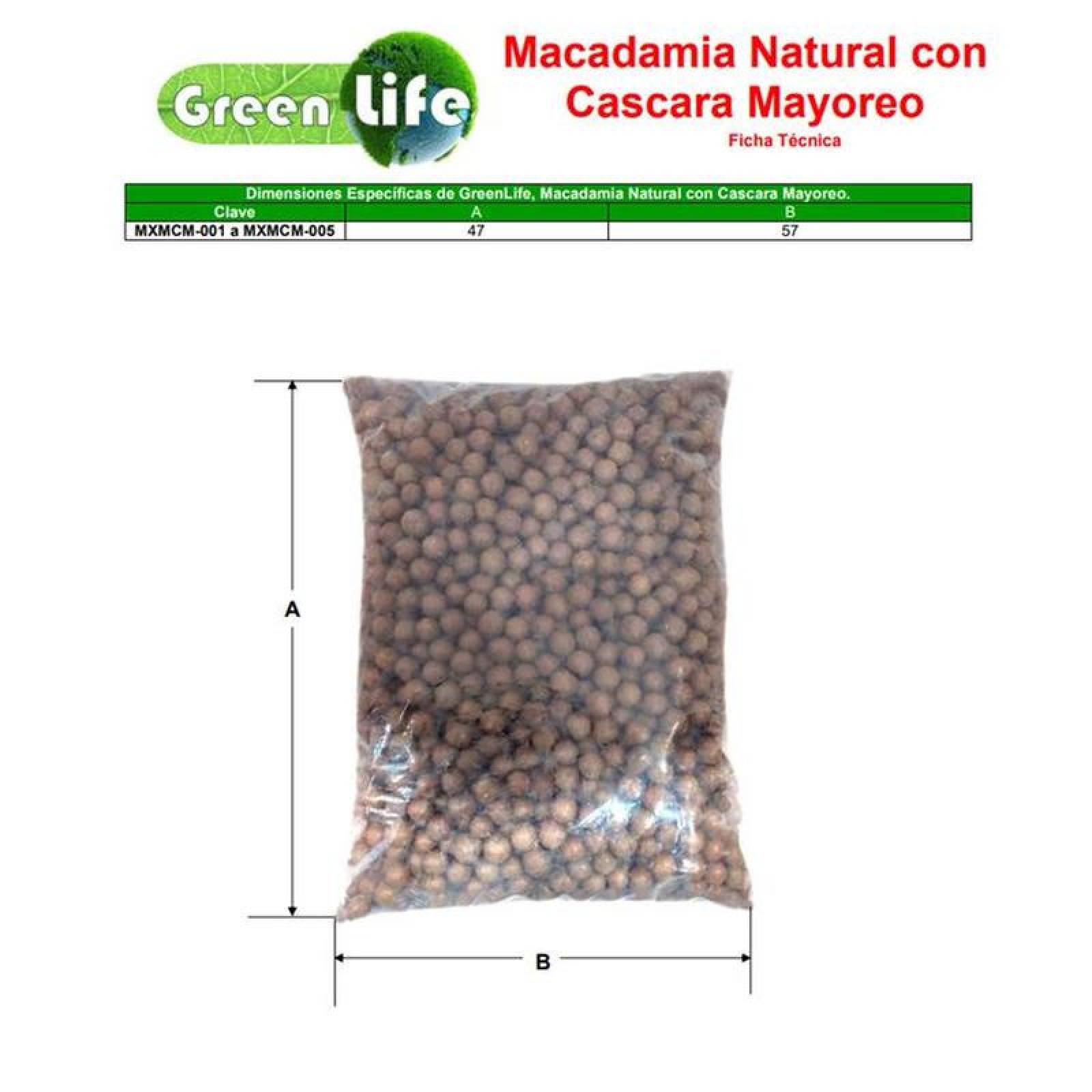 Nuez de Macadamia Sin Pelar MXMCM-001-6 25kg Macadamia con Concha Bolsa Sellada, Macadamia Natural con Concha