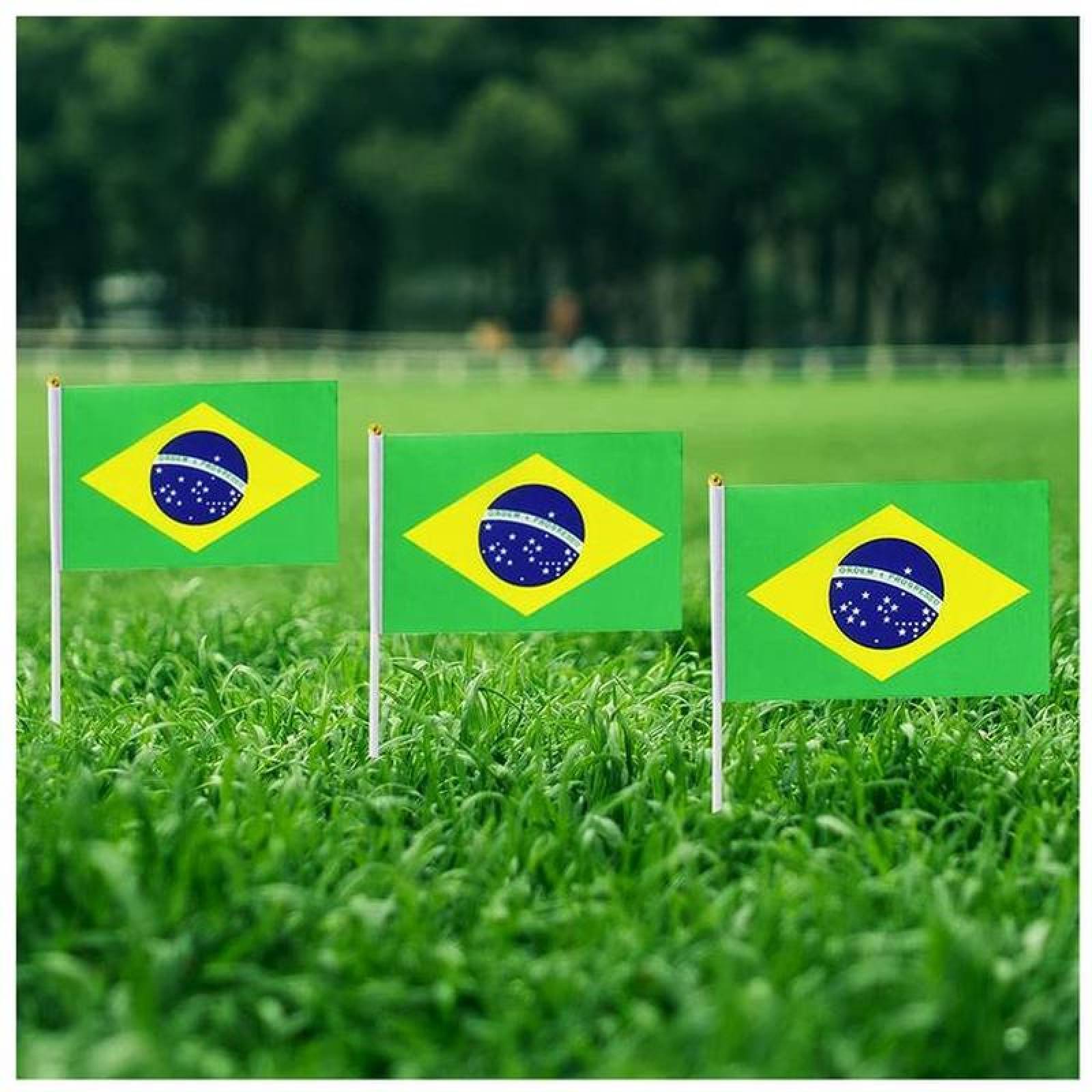 Banderas Pequeñas MXBRF-001-2 5Pzas Brasil 14x21cm Tela Poliéster Asta Plástico, BRminiFlag