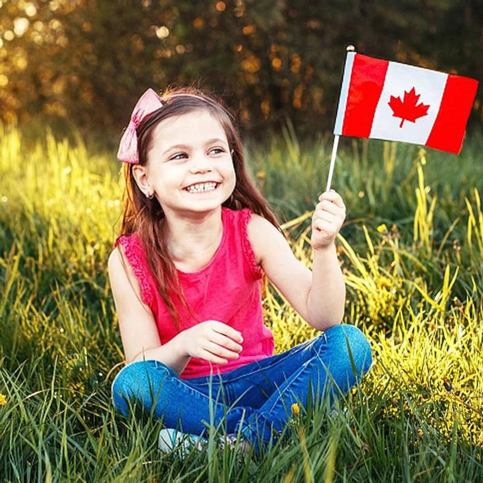Mini Banderas Decorativas MXCAF-002-2 10Pzas Canadá 14x21cm Tela Poliéster Asta Plástico, CAminiFlag