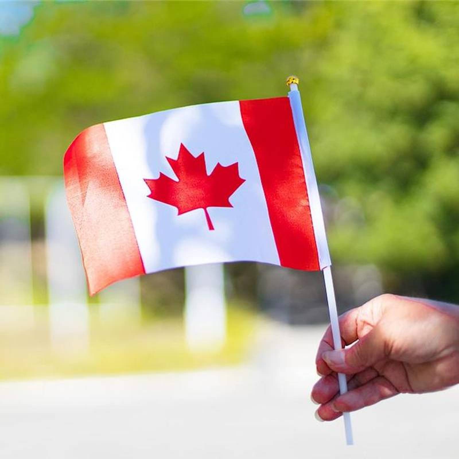 Bandera Canadiense MXCAF-002-3 10Pzas Canadá 14x21cm Tela Poliéster Asta Plástico, CAminiFlag