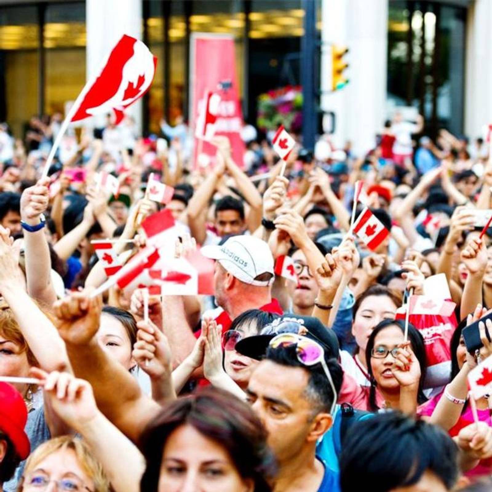 Bandera Pequeña de Canadá MXCAF-003-1 15Pzas Canadá 14x21cm Tela Poliéster Asta Plástico, CAminiFlag
