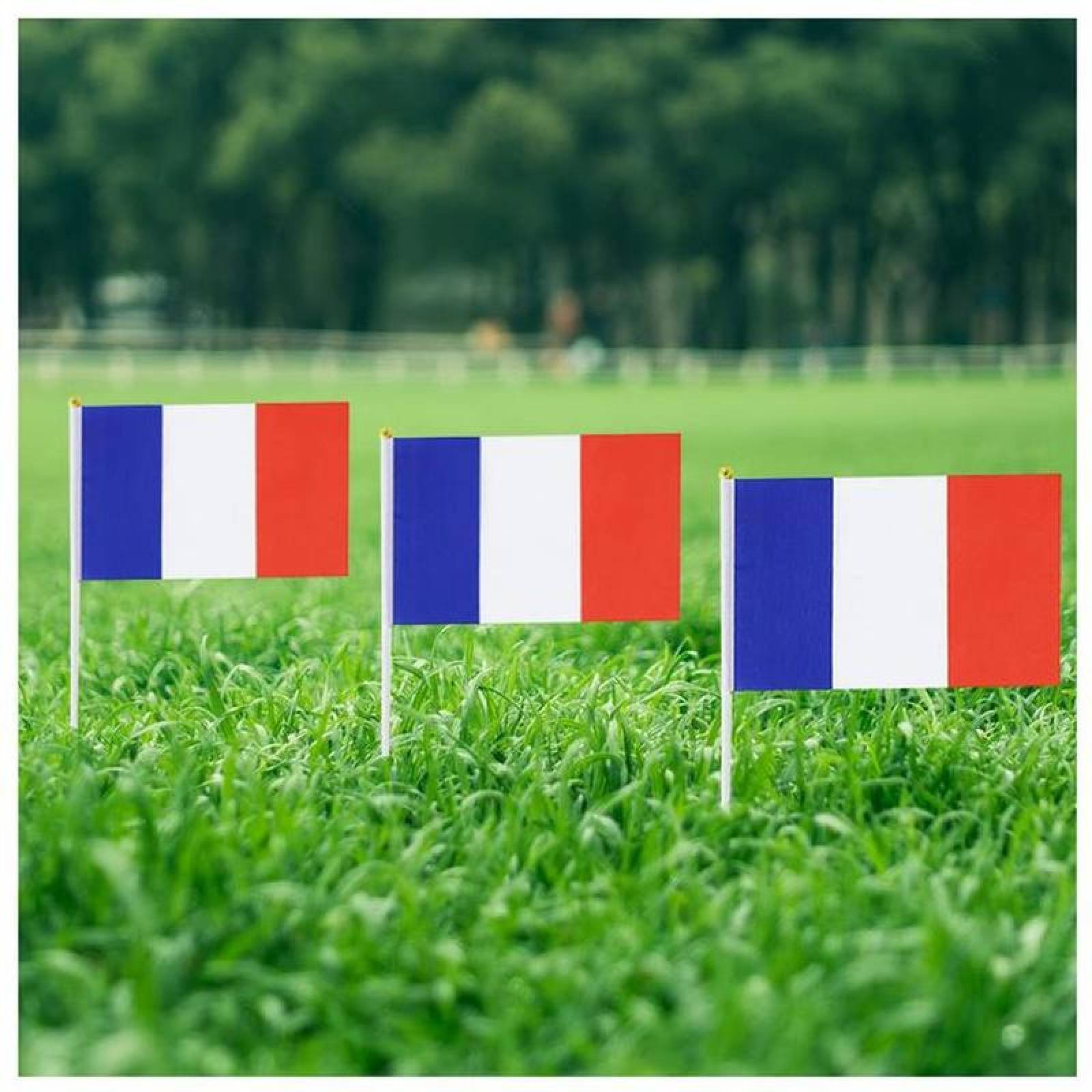 Mini Bandera Francesa MXFCG-009-2 150Pzas Francia 14x21cm Tela Poliéster Asta Plástico, FRminiFlag
