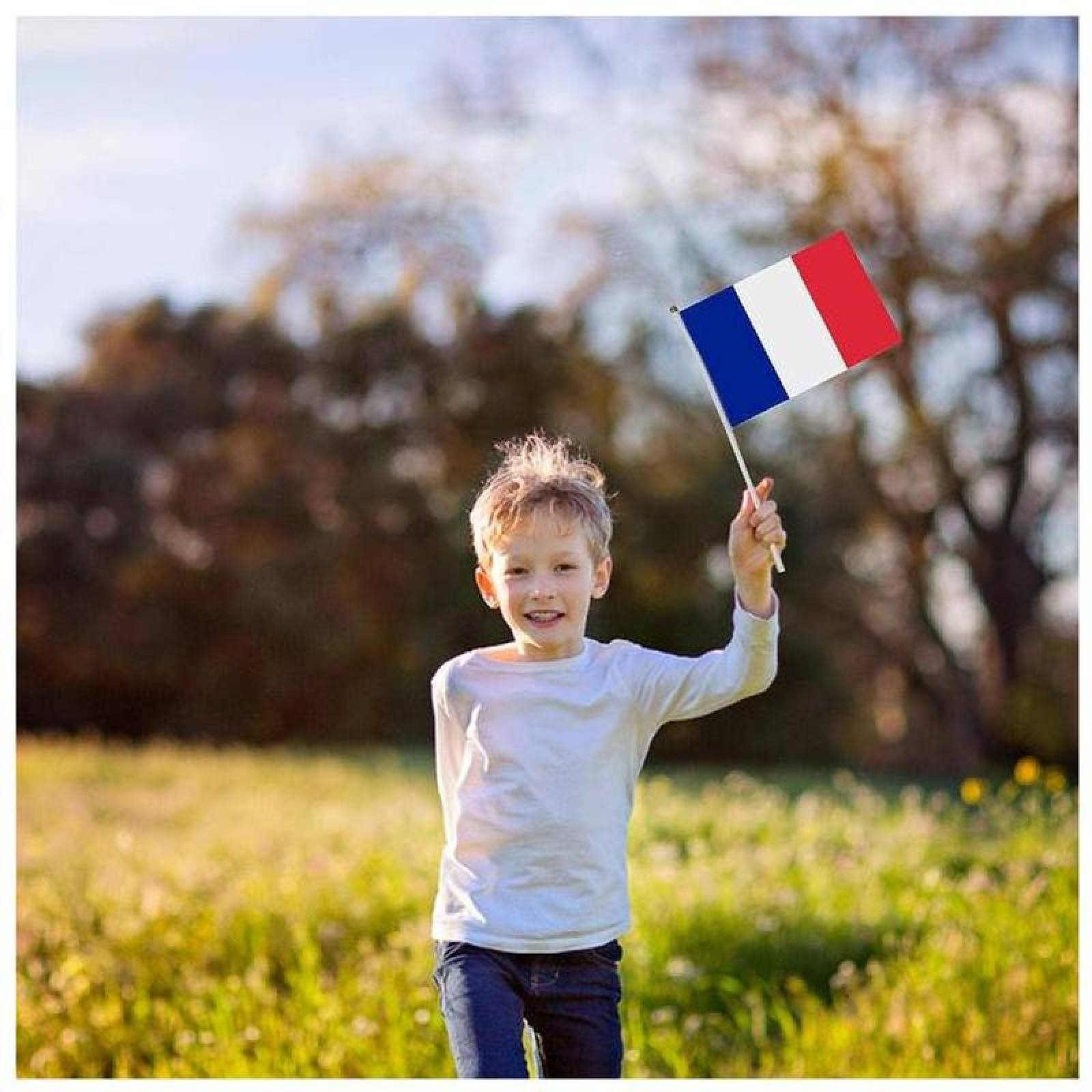 Mini Bandera Francesa MXFCG-009-2 150Pzas Francia 14x21cm Tela Poliéster Asta Plástico, FRminiFlag