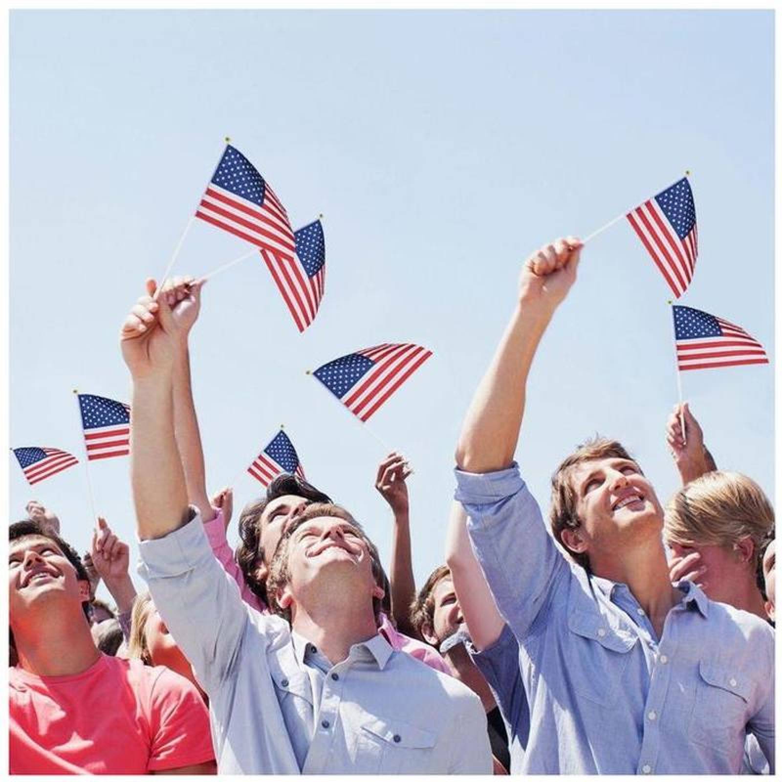 Banderines Estaunidenses MXUSG-010-1 200Pzas USA 14x21cm Tela Poliéster Asta Plástico, USminiFlag