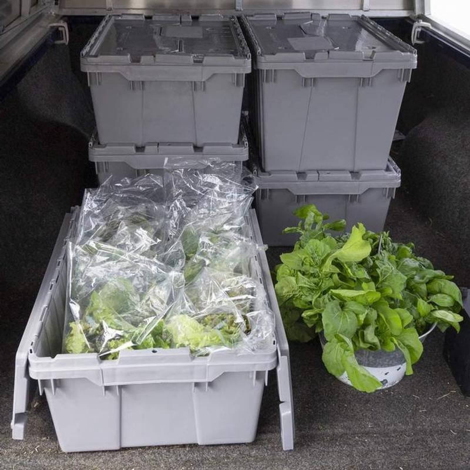 Cajas de Almacenamiento MXXCR-010-2 4 Pzas 35kg 60x50x32cm Apilable Bisagras Polietileno Color Azul, BoxArch35