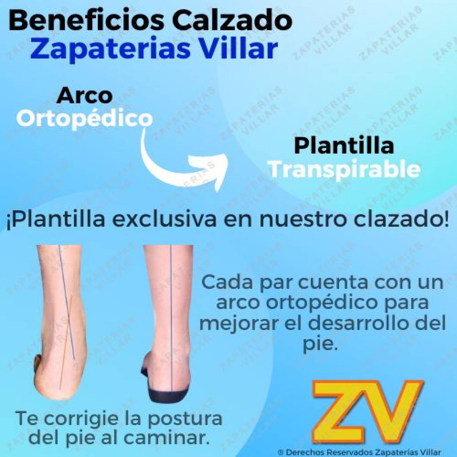 Zapatos Bota Escolar 100% Piel Arco Ortopédico Negros 419-N.