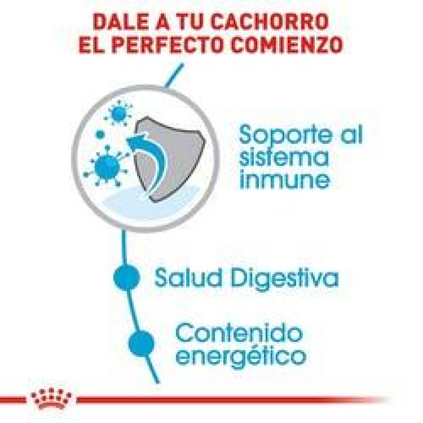 Alimento para perro Royal Canin Small Puppy 1.1Kg