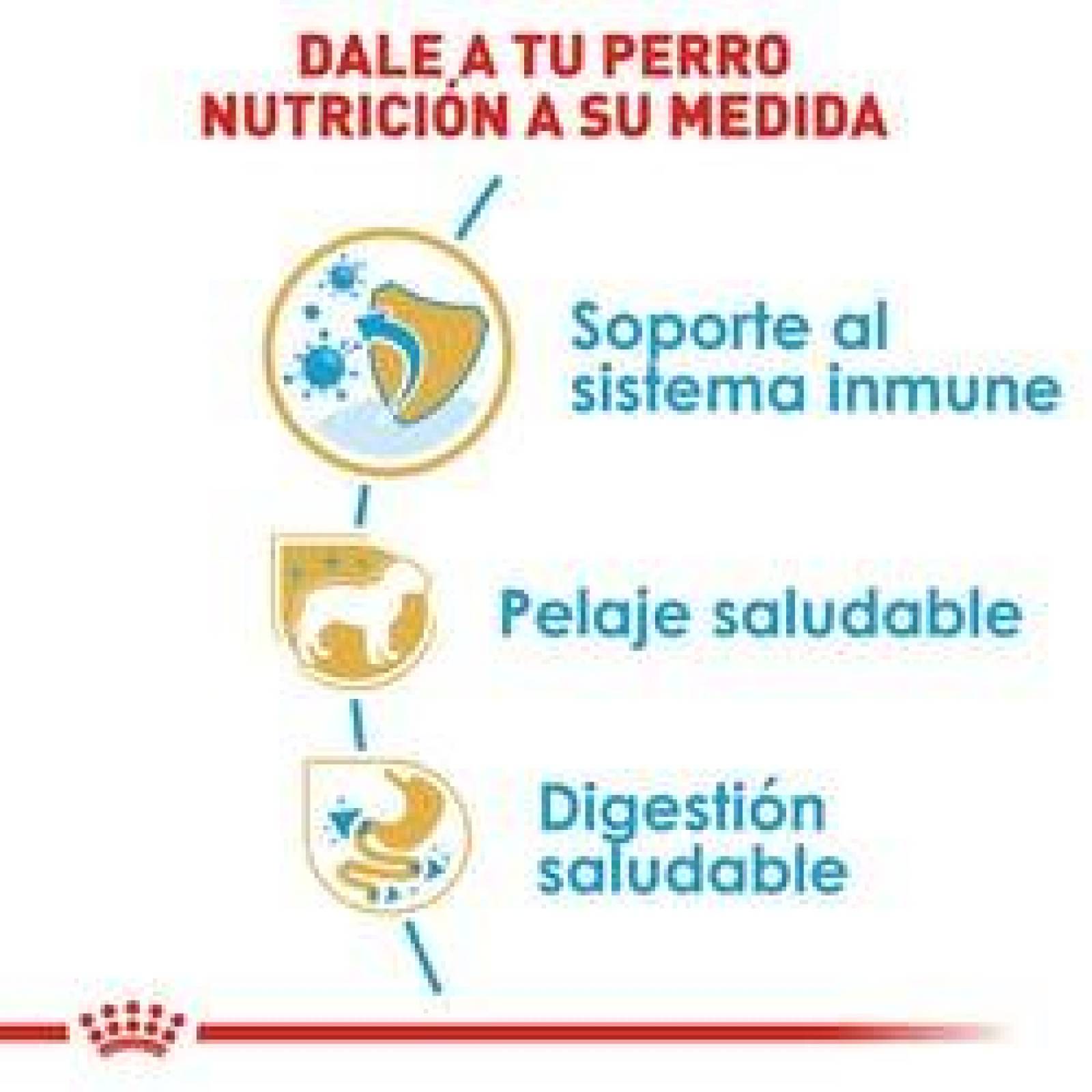 Alimento para perro Royal Canin Small Digestive Care de 1.6Kg 