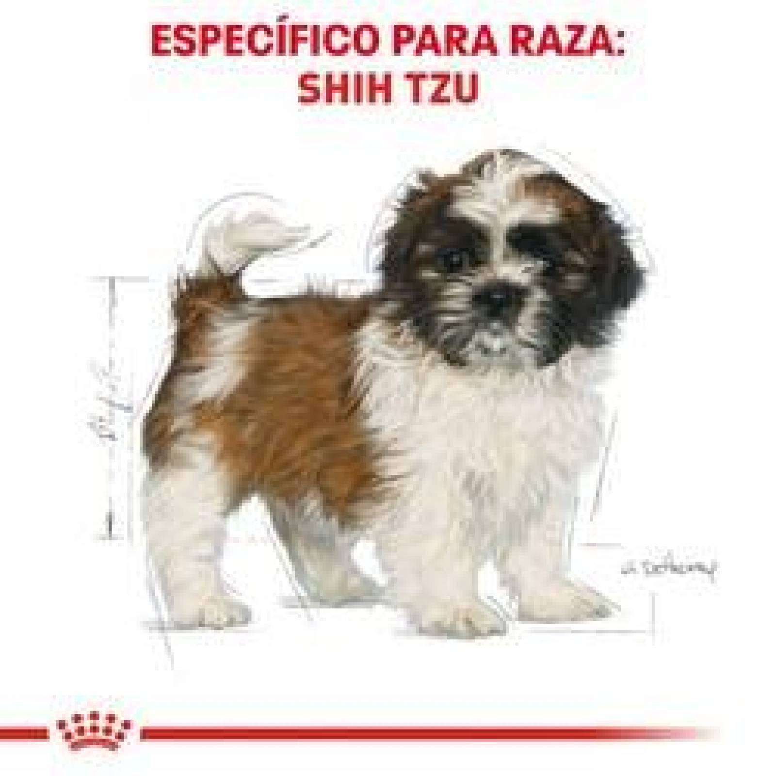 Alimento para perro Royal Canin Shih Tzu Puppy de 1.1Kg 