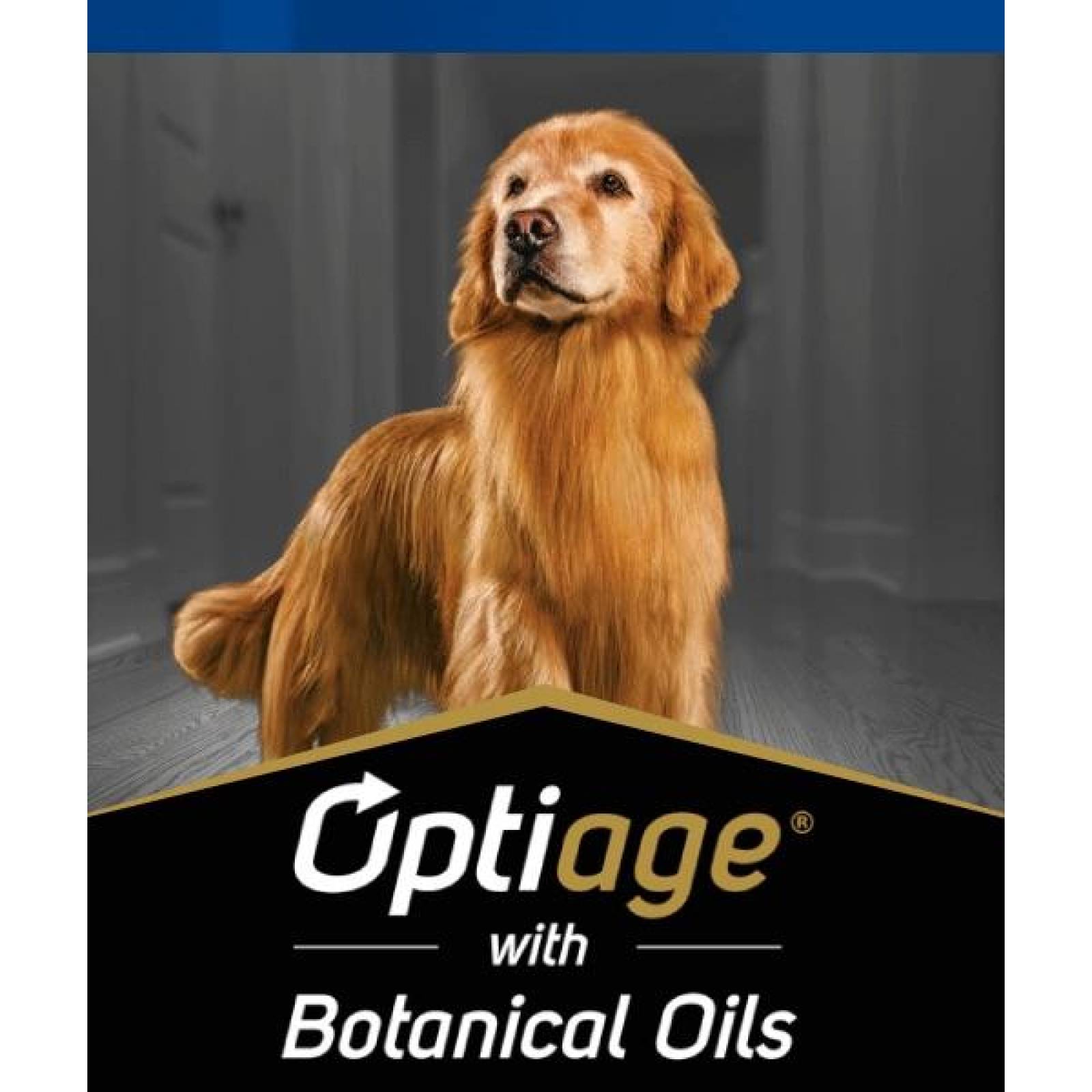 Alimento para Perro ProPlan Active Mind Razas Medianas Y Grandes de 13Kg 