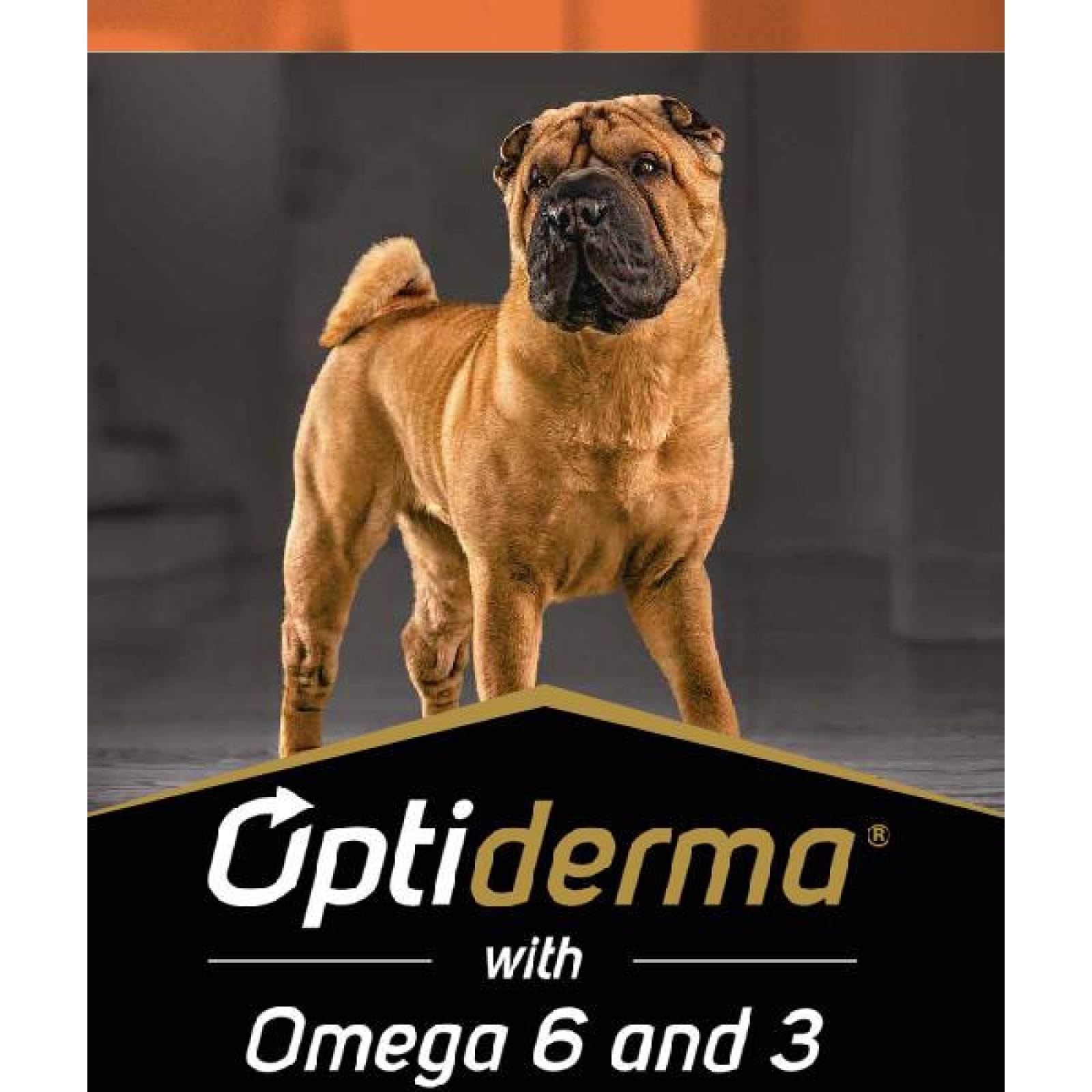 Alimento para perro ProPlan Adulto Piel Sensible Razas Grandes Y Medianas de 13Kg 