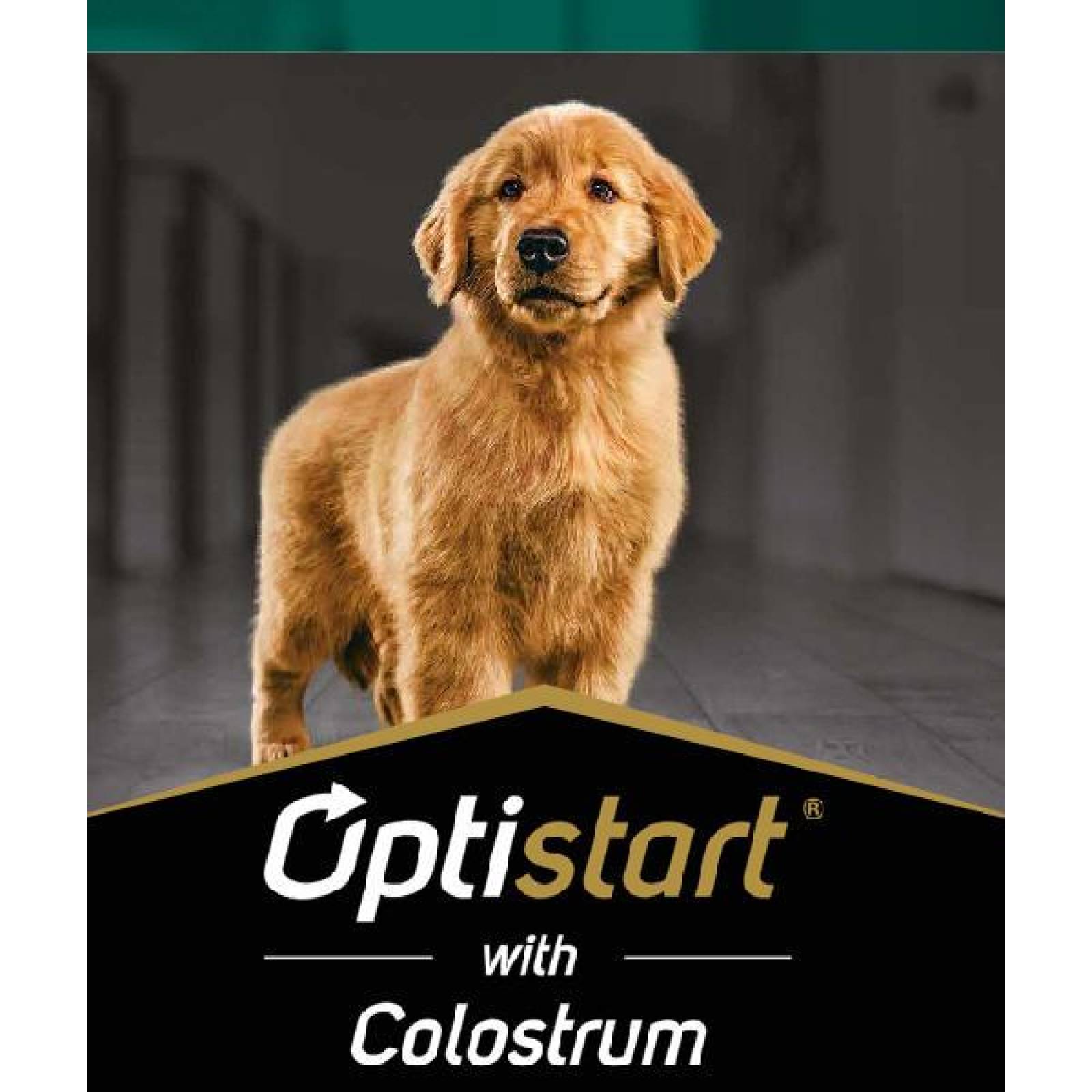 Alimento para perro ProPlan Cachorro Razas Pequeñas de 1Kg 