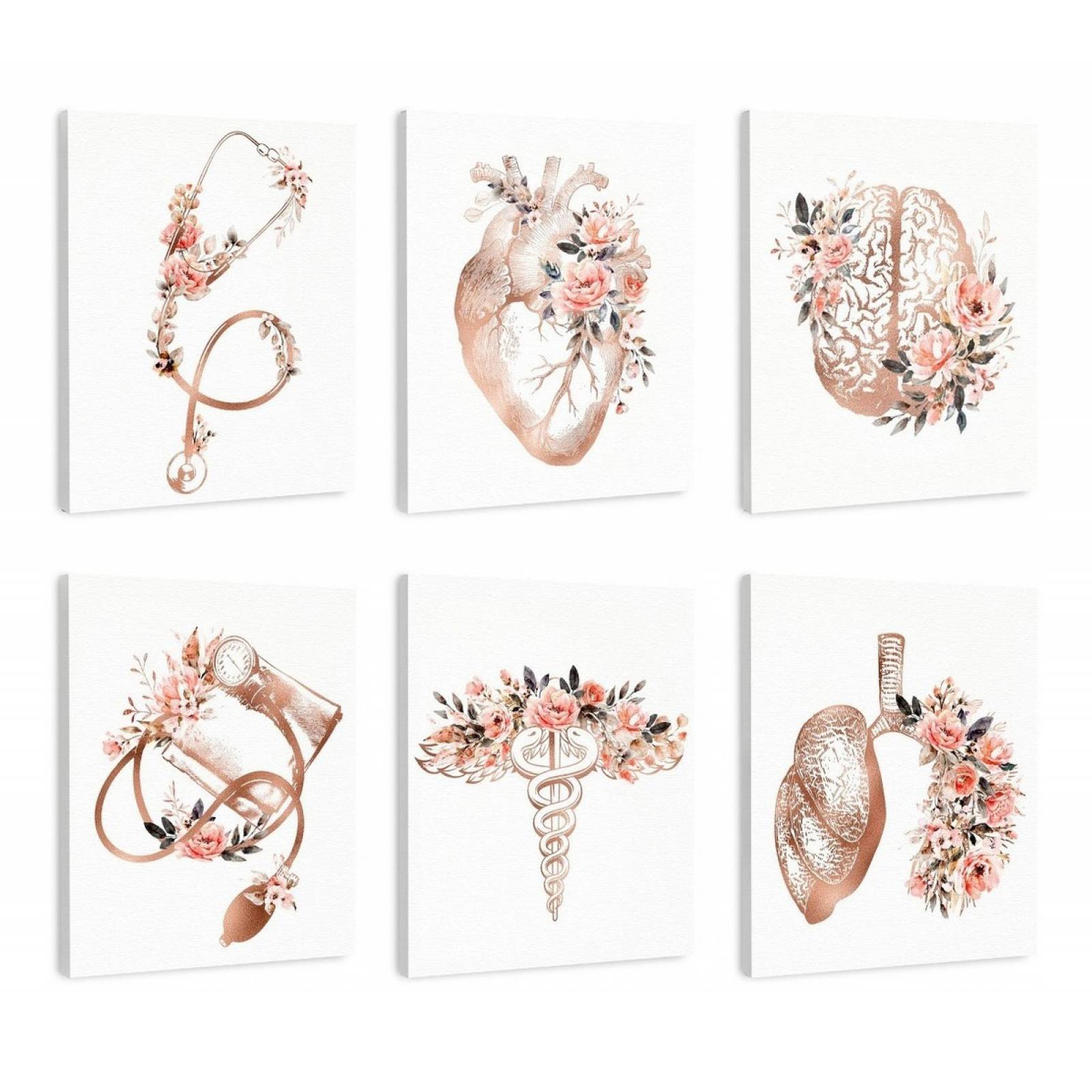 Set 6 Cuadros Para Consultorio Médico