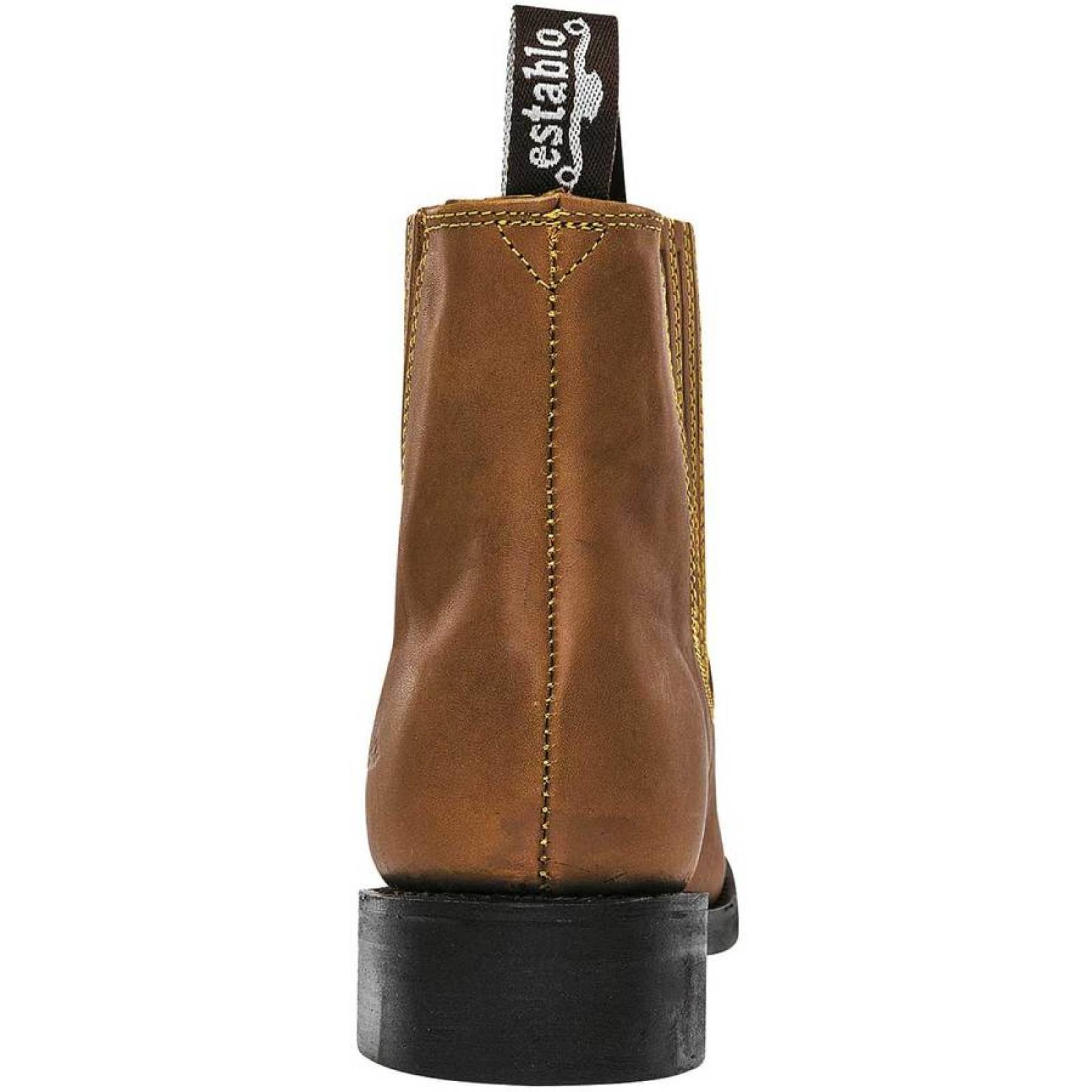 Bota y botín Establo 555 Camel 25 al 29