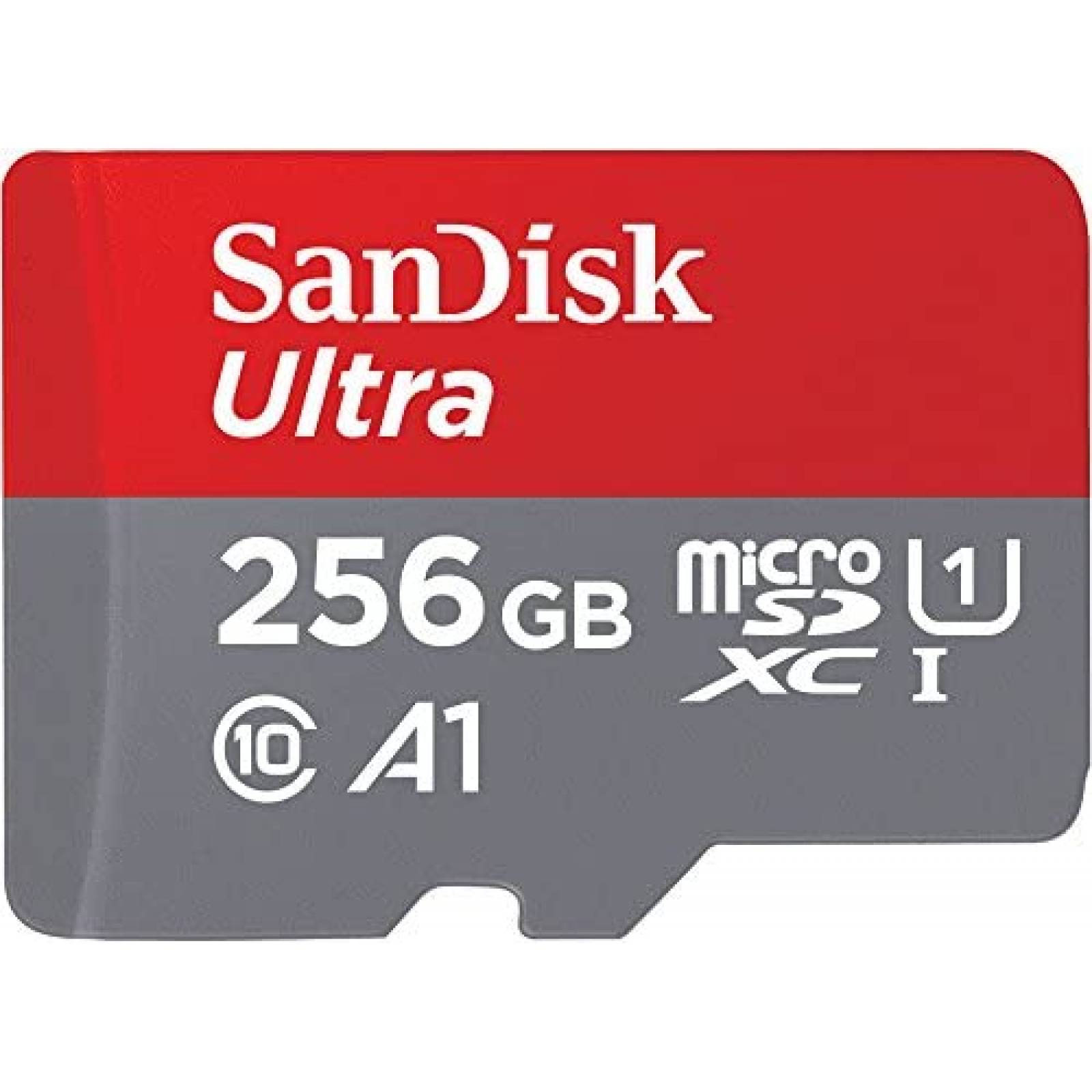 Tarjeta de Memoria SanDisk 256GB 120MB/s Micro SD HD -Gris 