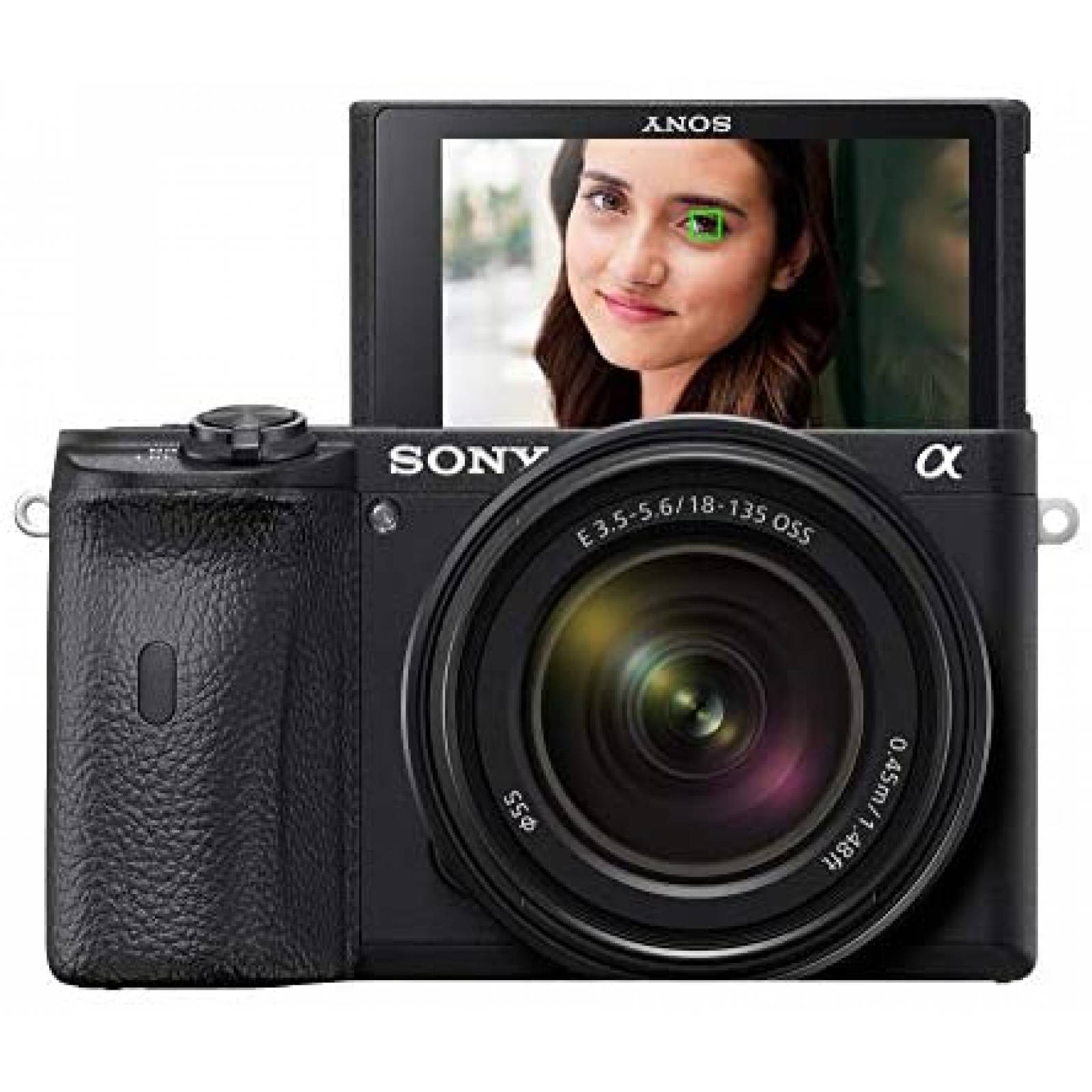 Cámara Digital Sony Alpha A6600 Sin Espejo 18-135mm -Negro 