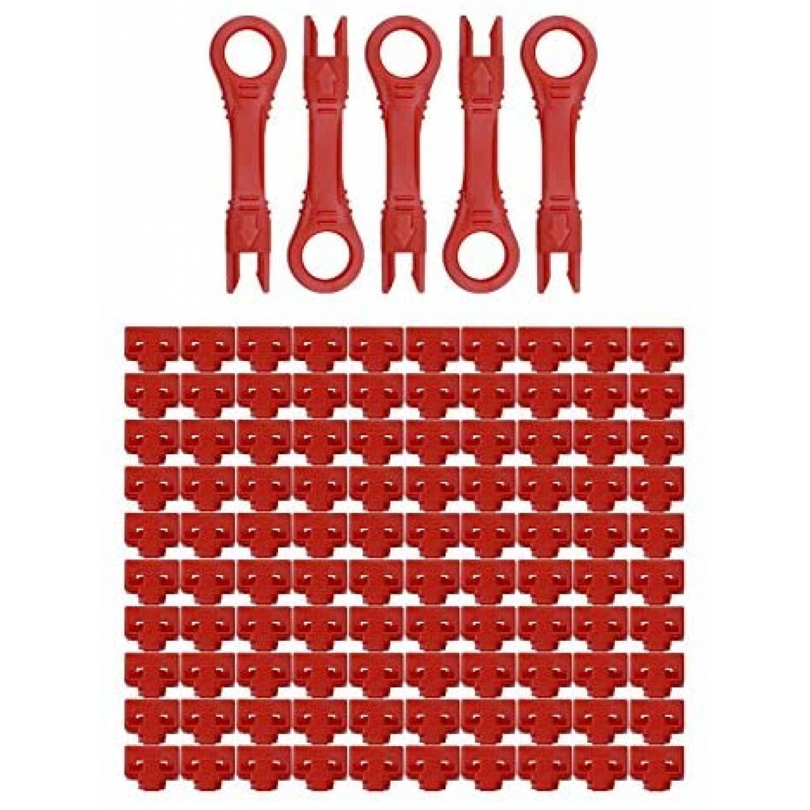 Sistema de Seguridad NTW RJ45 10 Cerradoras -Rojo 