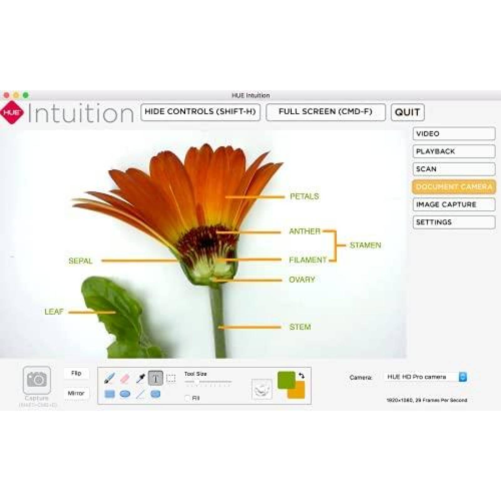 Camara de documentos HUE HD Pro USB 1080P Manual -Rojo