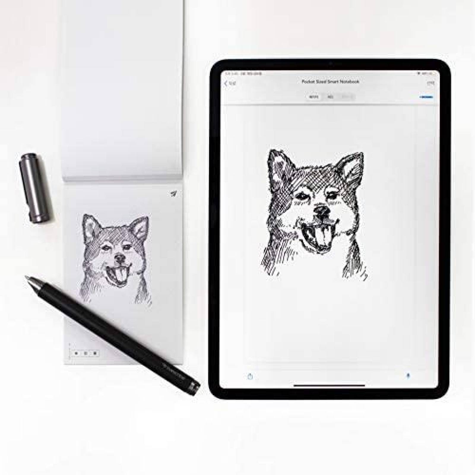 Pluma Livescribe Multifuncional Digital Bluetooth -Negro