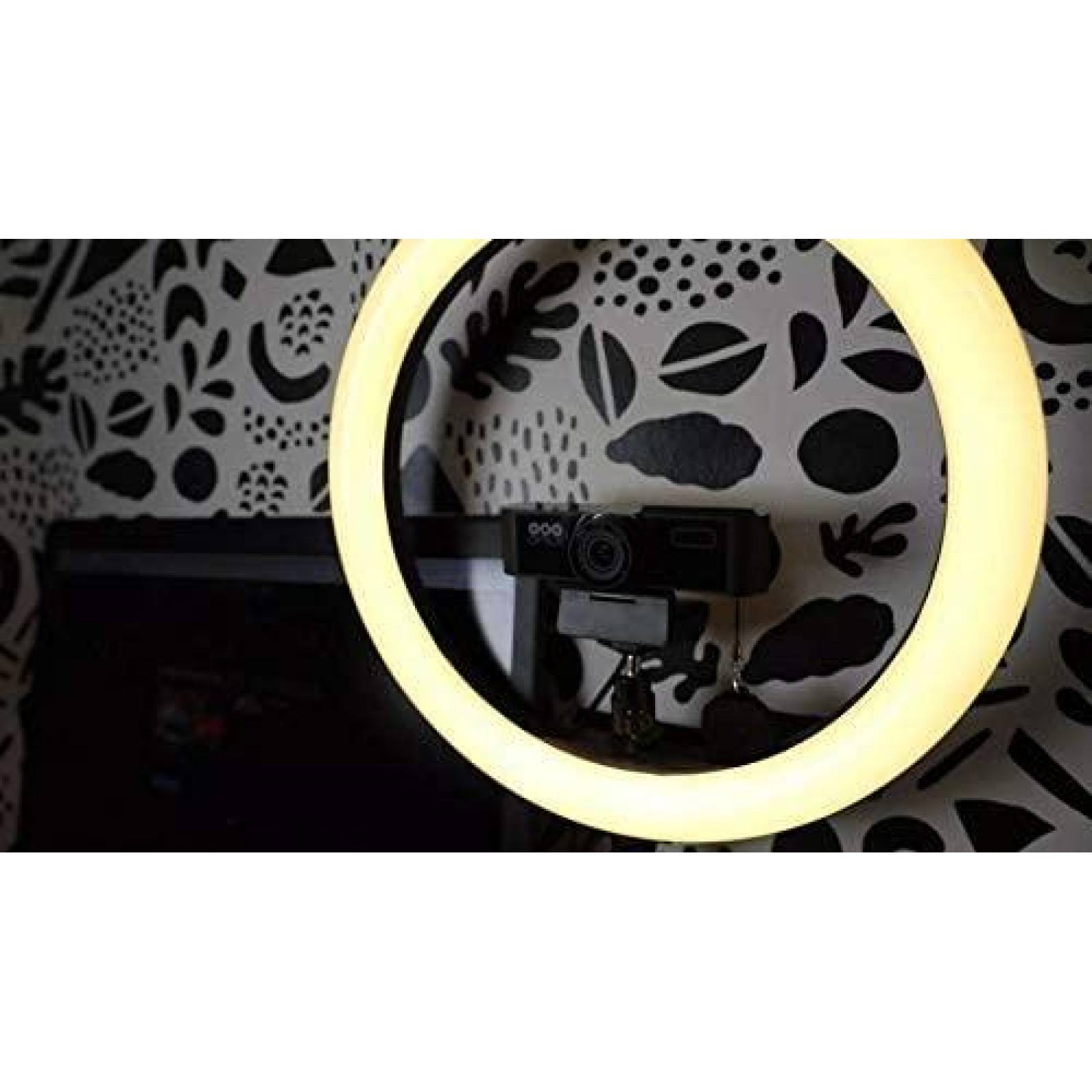 Camara Web PTZOptics PT-WEBCAM-80 Lente gran angular -Negro