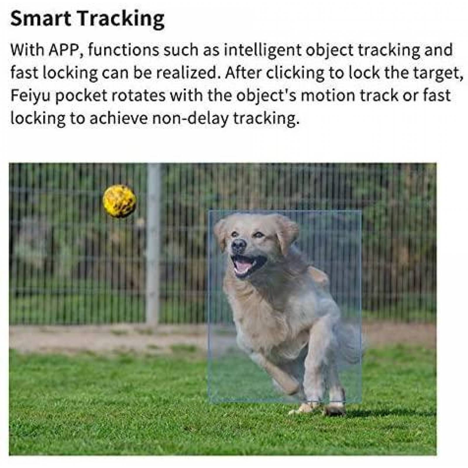 Camara FeiyuTech Pocket Gimbal 3 ejes 4K 120 -Negro