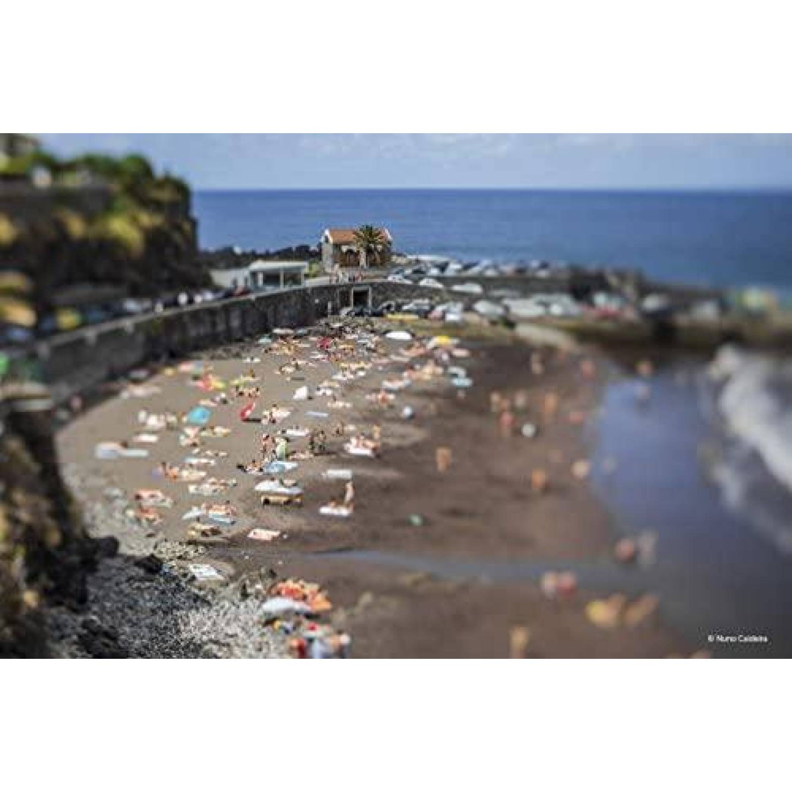 Lente de Camara de Fotografia Lensbaby Composer Pro II 50mm