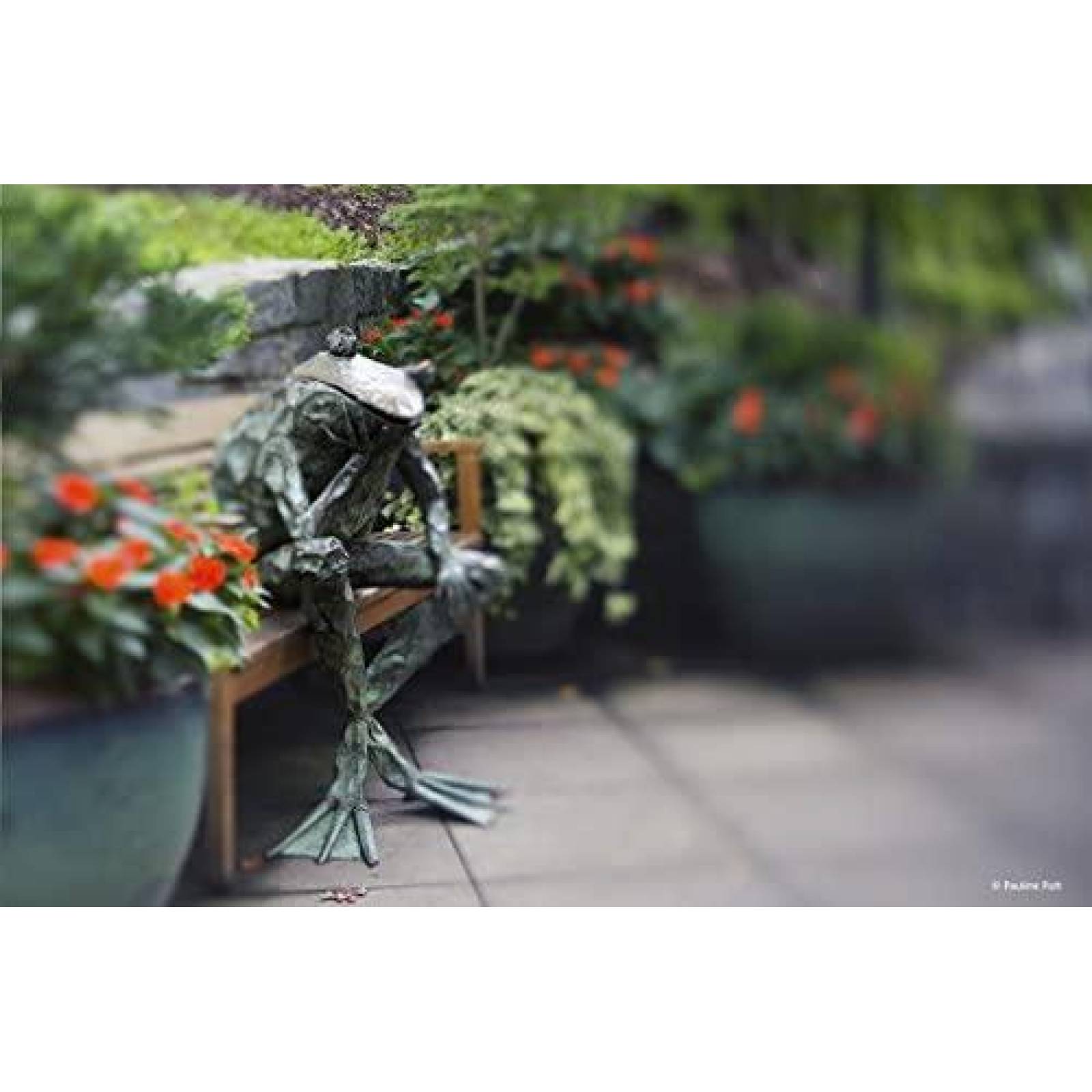 Lente de Camara de Fotografia Lensbaby Composer Pro II 50mm