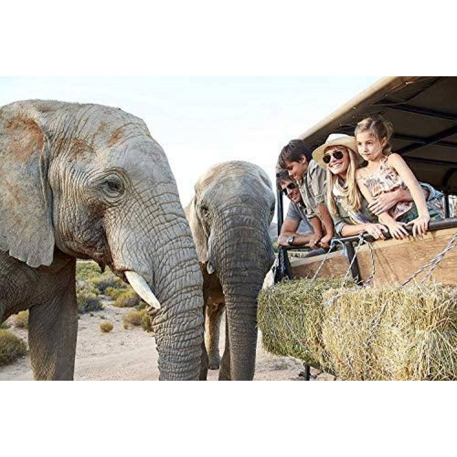 Lente de Camara de Fotografia Tamron 18-200mm F/3.5-6.3