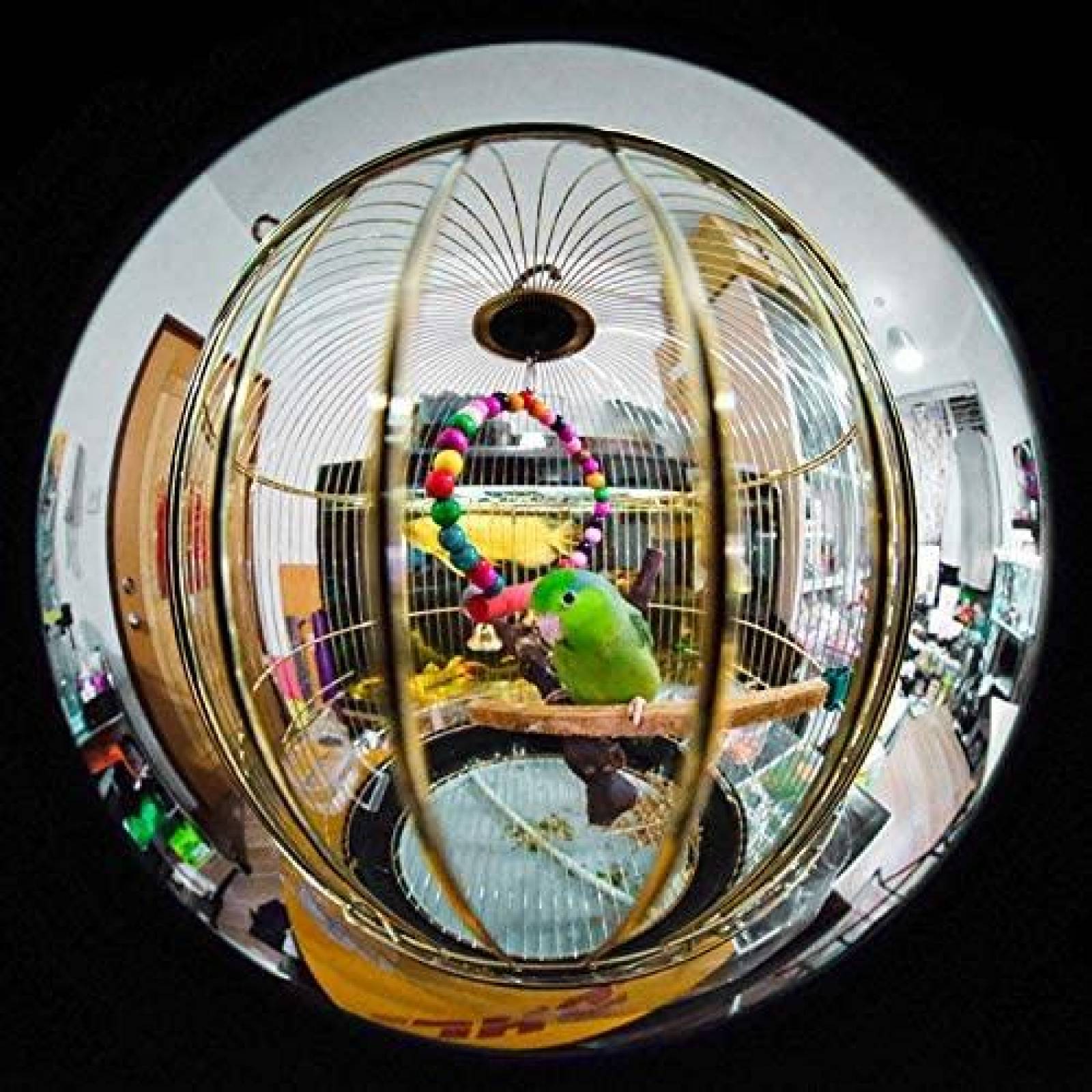 Ojo de pez circular LAOWA VE428FX 4 mm f / 2.8 210  -Negro