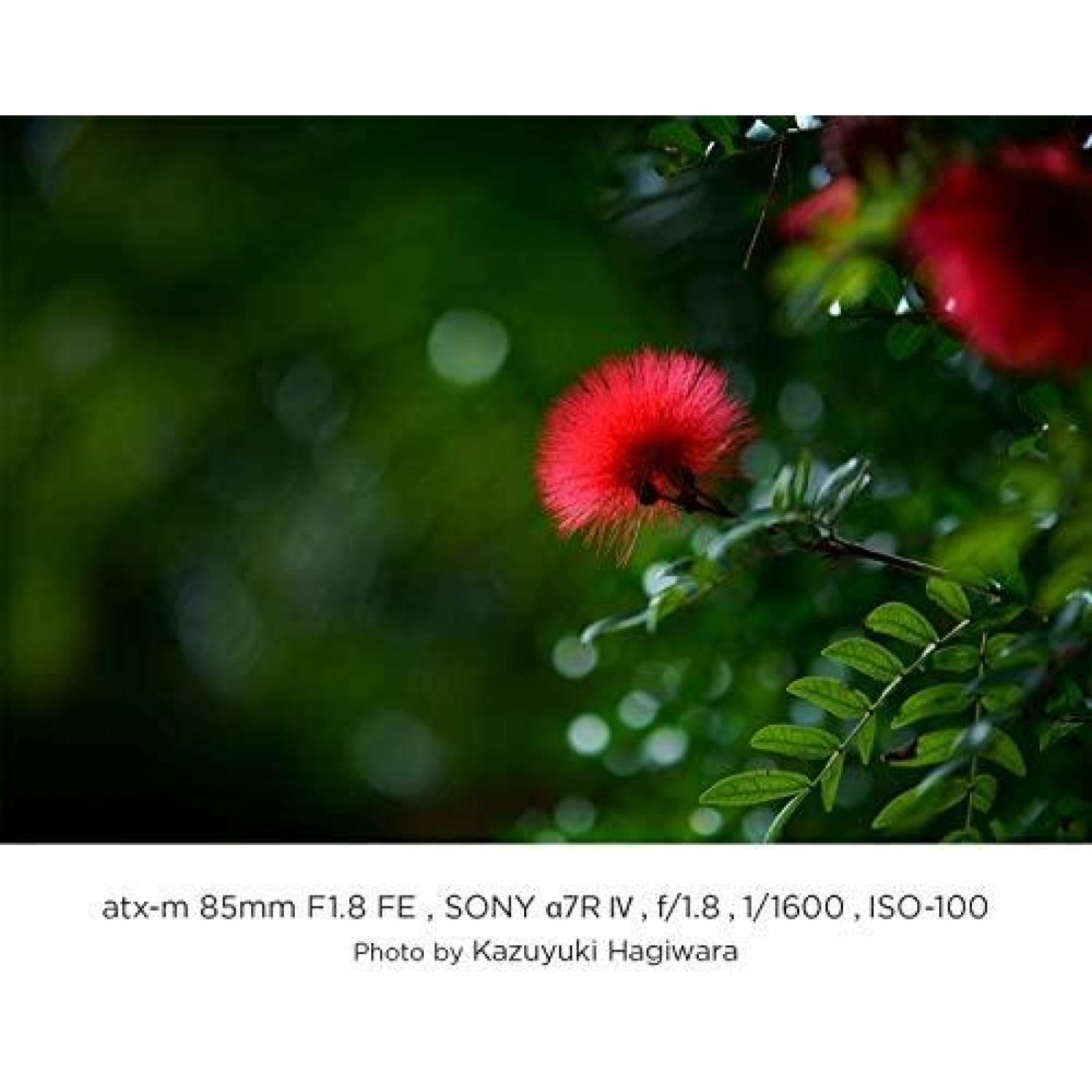 Lente TOKINA atx-m 85mm F1.8 Compatible Sony -Negro