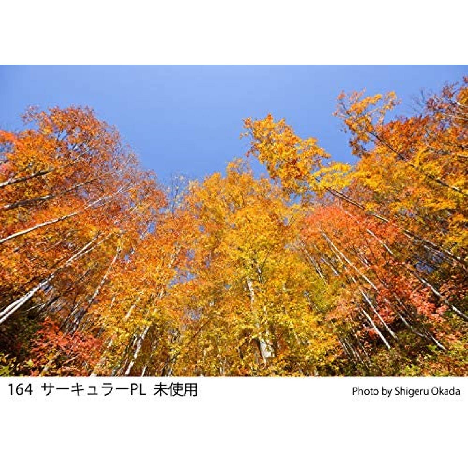 Filtro Cokin Z164 Polarizador 100mm x 100mm -Negro