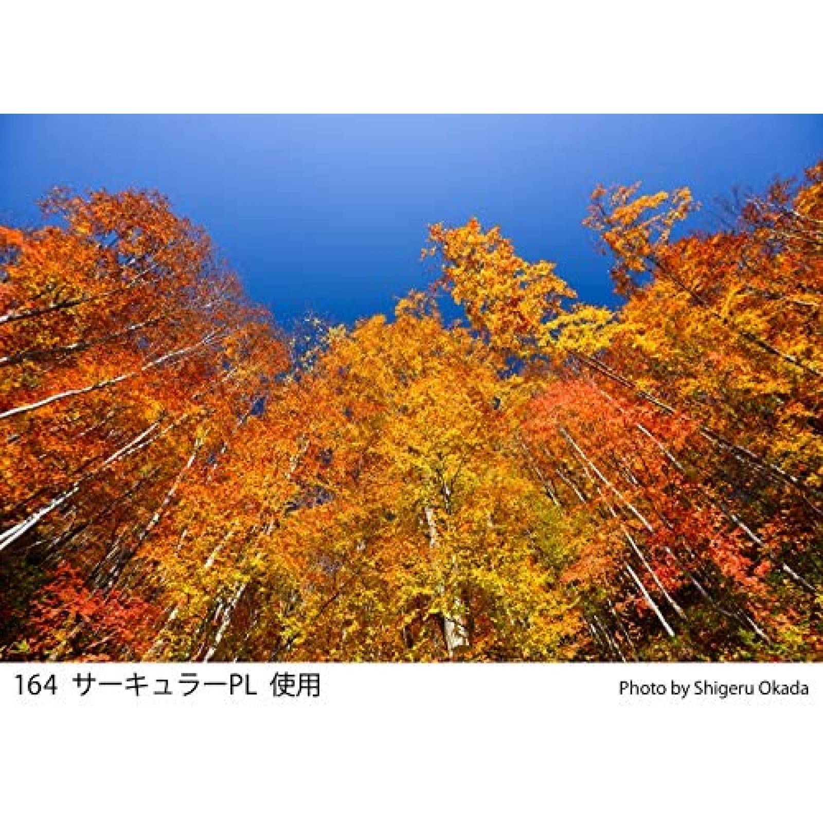 Filtro Cokin Z164 Polarizador 100mm x 100mm -Negro