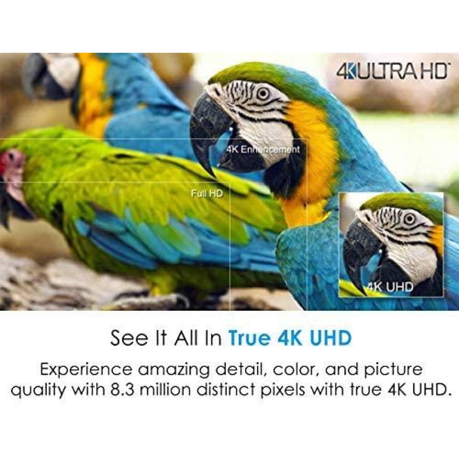 Proyector Optoma UHD60 4K UHD 3000 Lumenes HDMI -Blanco