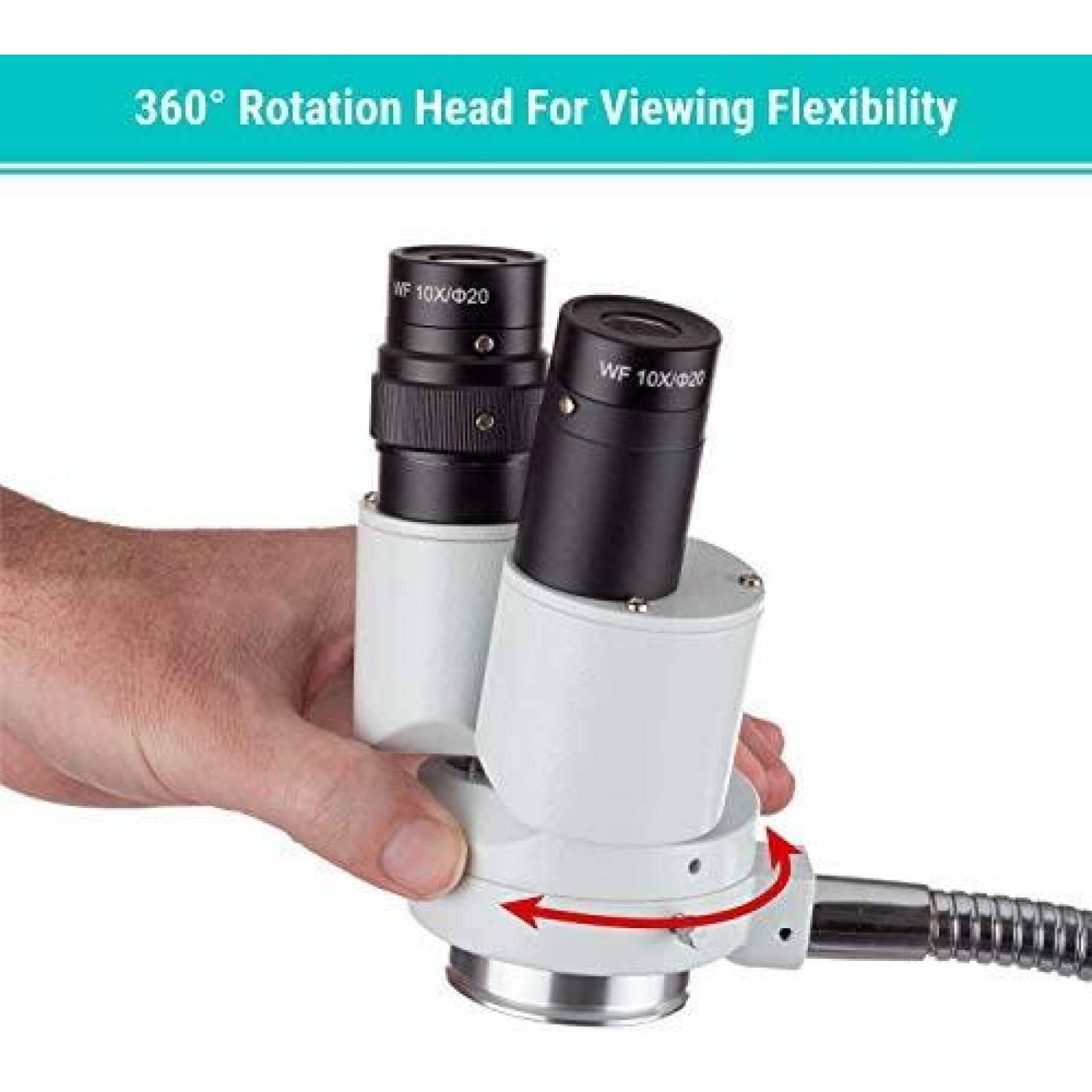 Microscopio AmScope inocular con rotacion 360 -Blanco