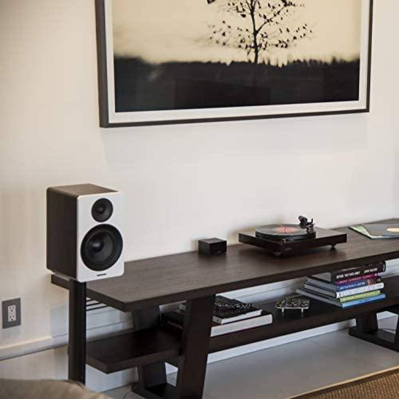 Preamplificador Fluance PA10 Ecualizacion RIAA -Negro