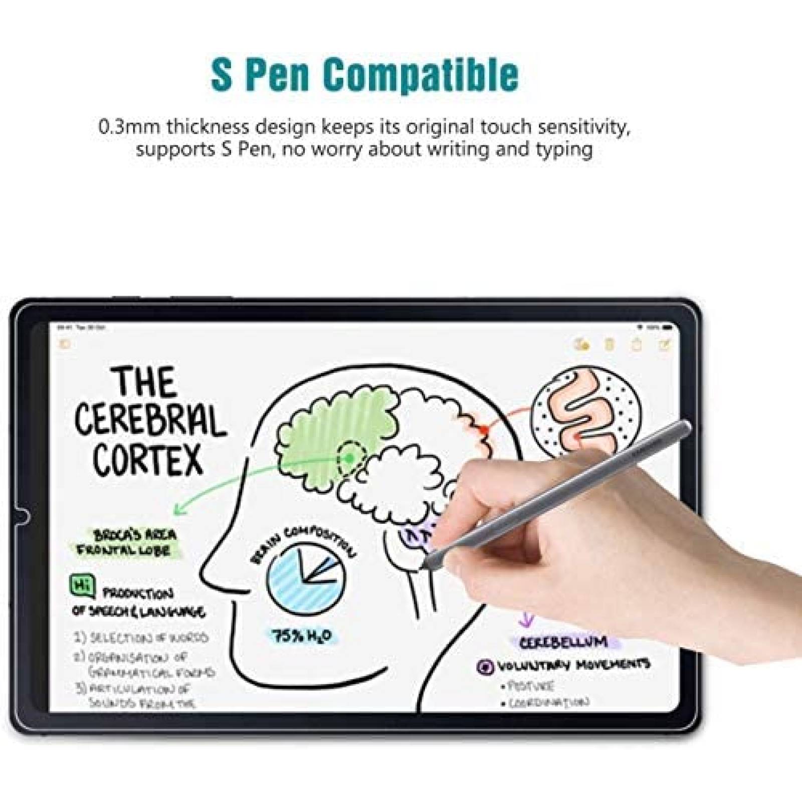 Protector de Pantalla TANTEK para Galaxy Tab S6 Lite 10.4''