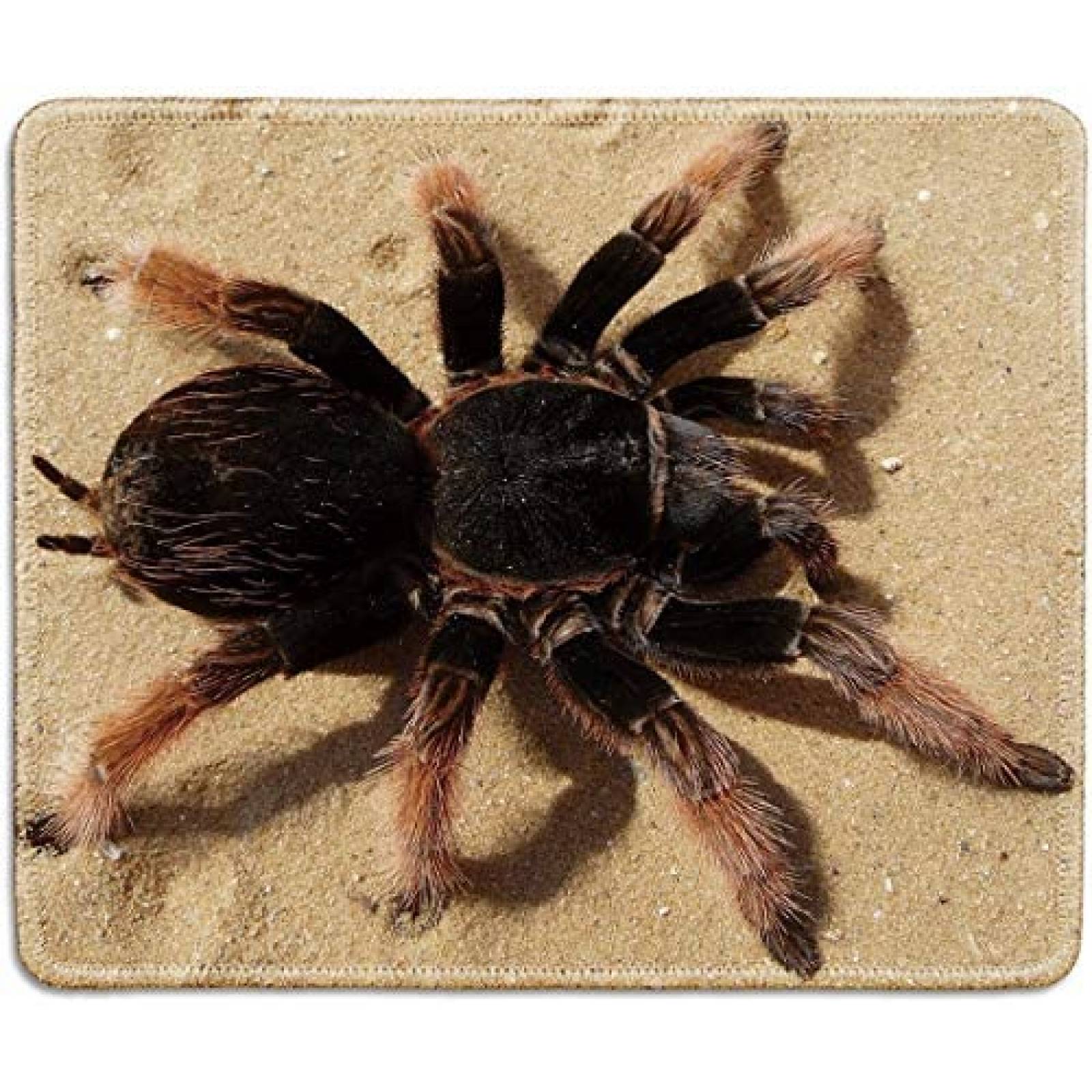 Mouse Pad DealzEpic de 9.5'' x 7.9'' Tarantula -Beige