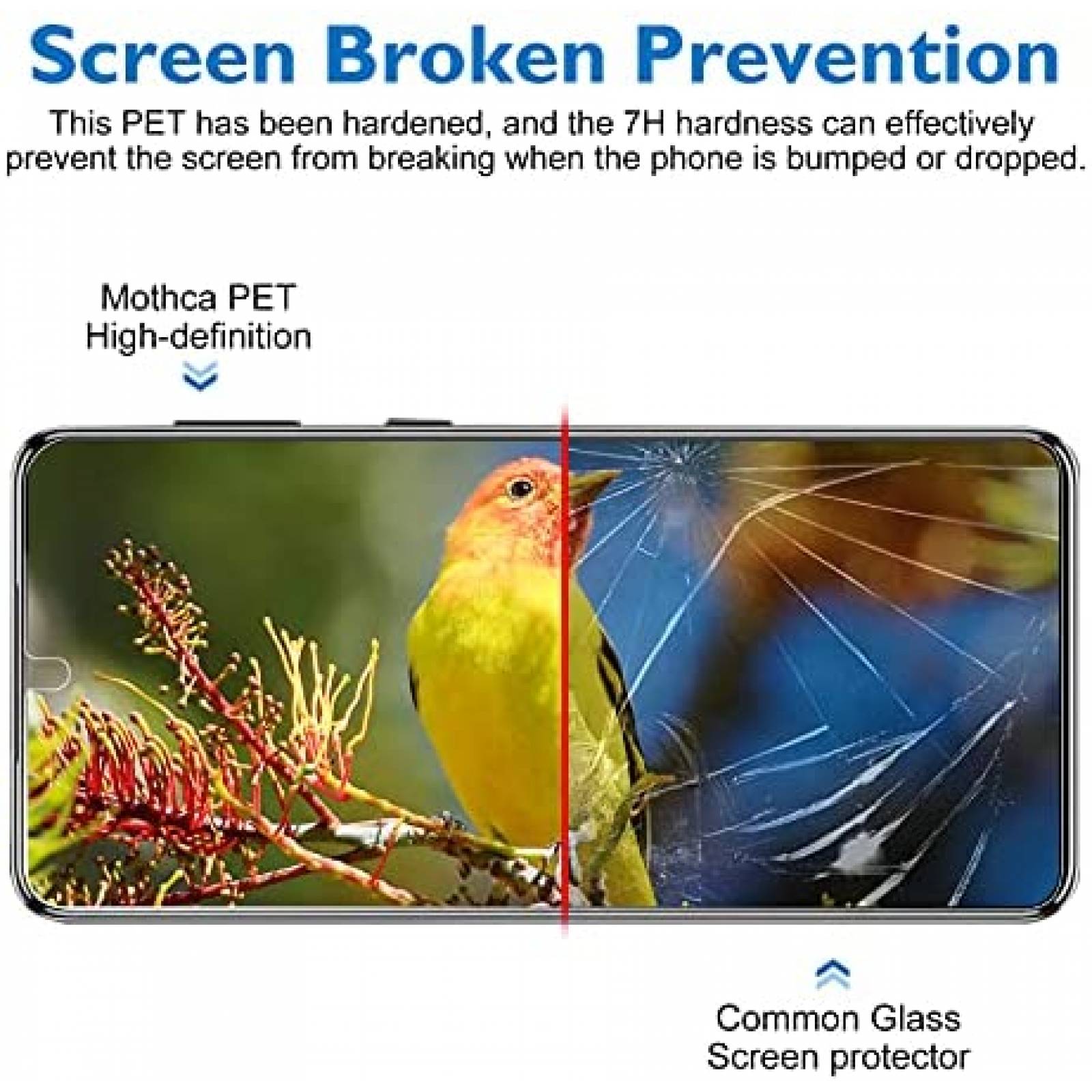 Protector Pantalla p/Celular Mothca Galaxy S21+ 5G 6.7"