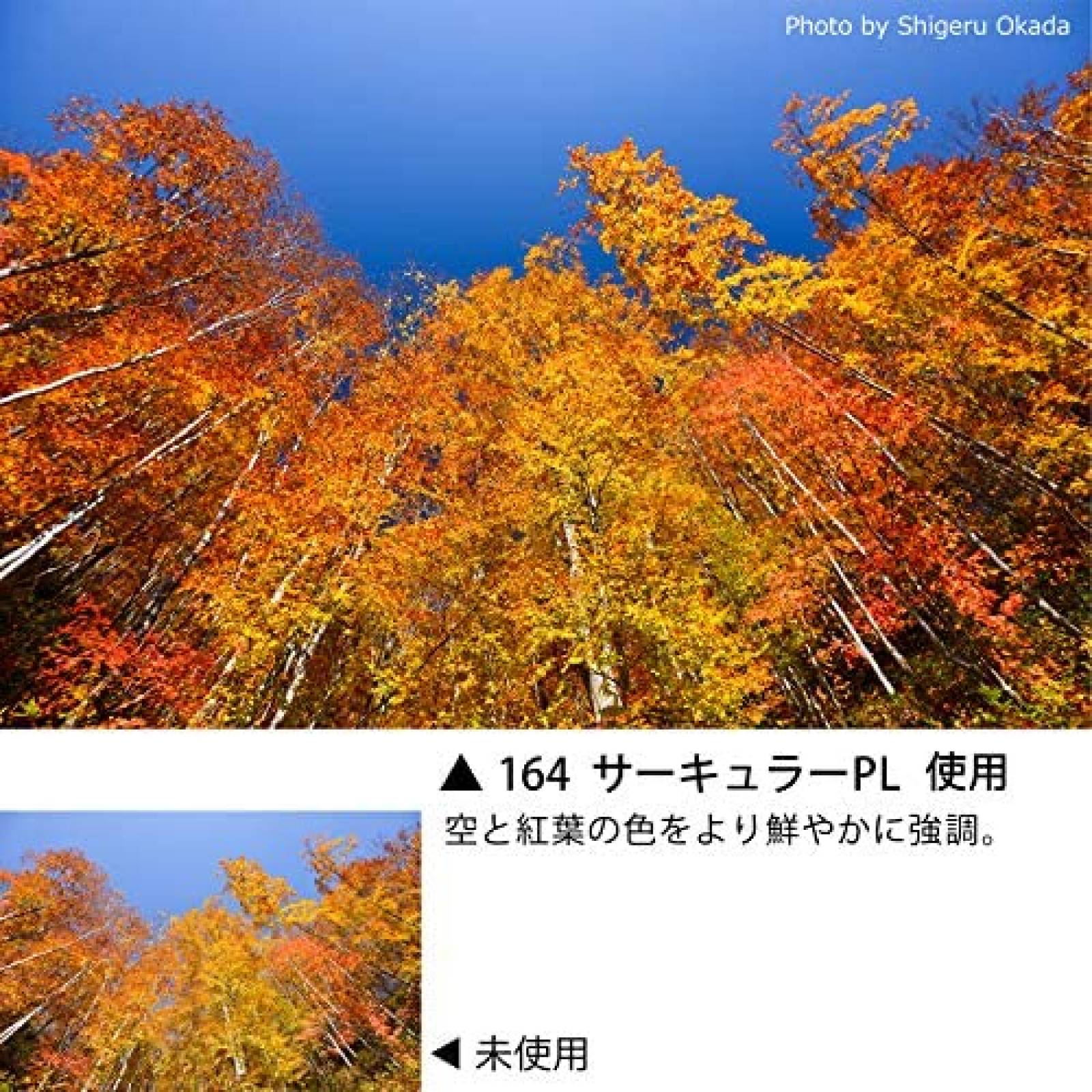 Kit Filtro Cokin Largo Cuadrado circular polarizado -Negro