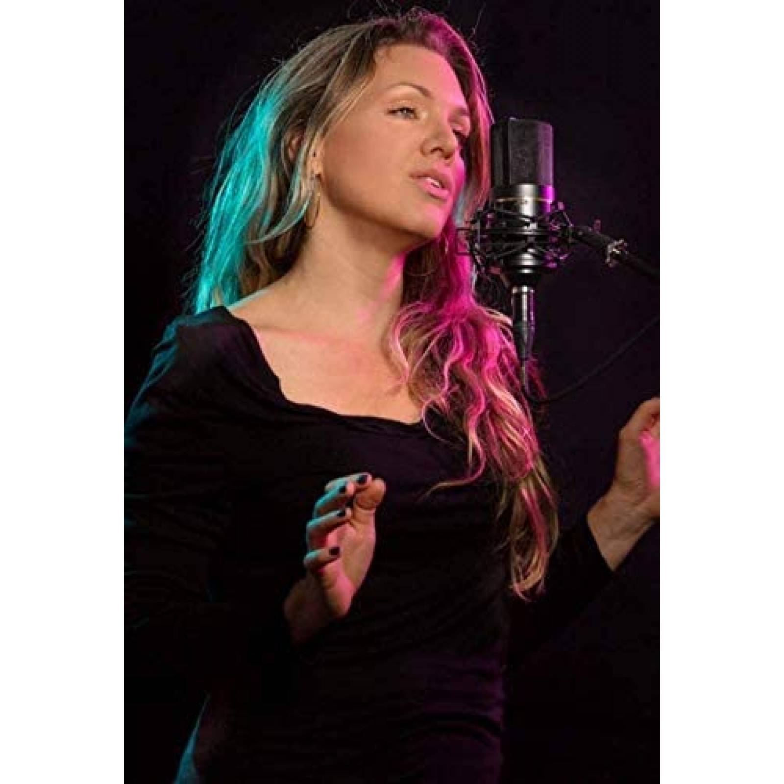 Microfono MXL 770 Cable XLR Filtro Pop Y Brazo Articulado