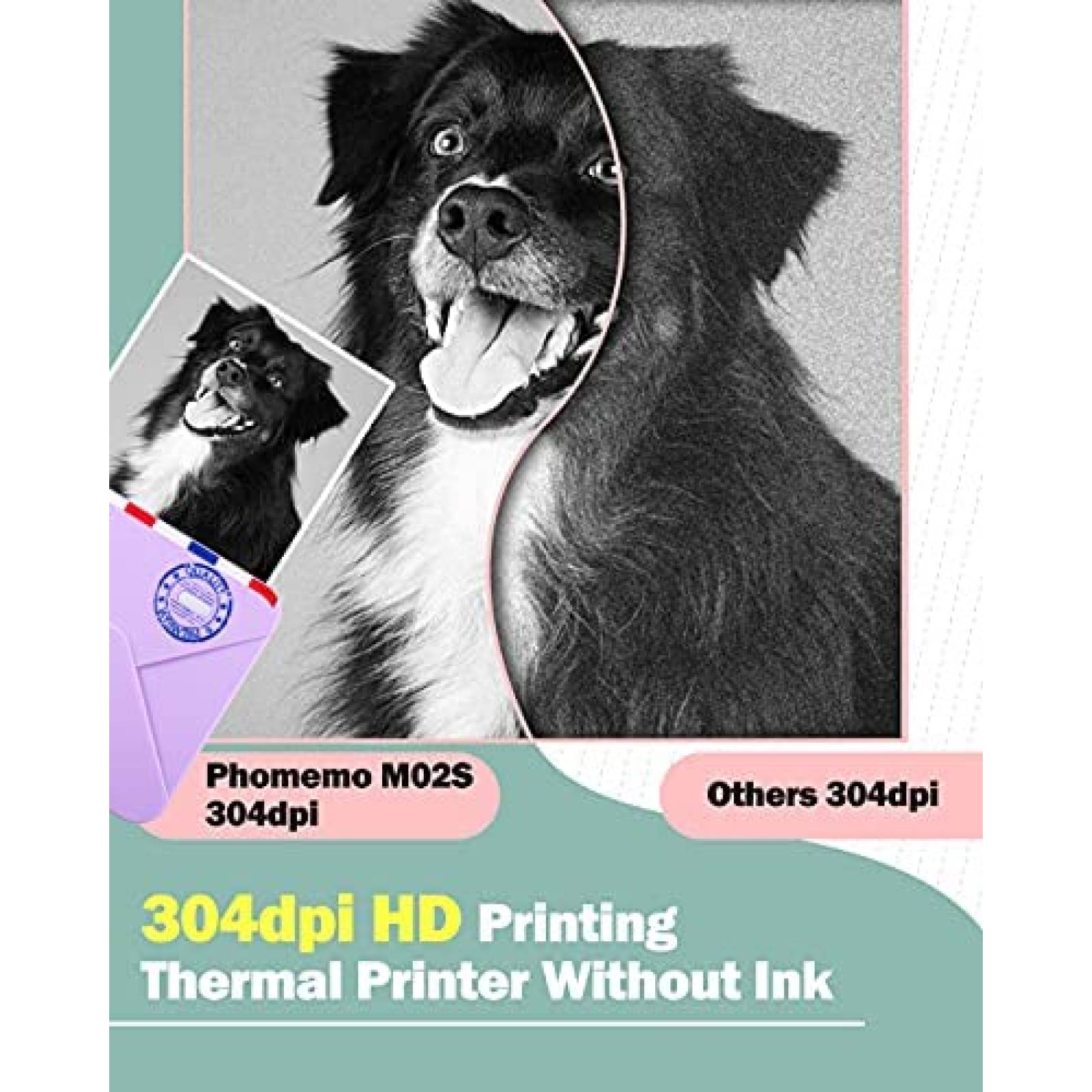 Impresora de Fotos Phomemo 300dpi Bluetooth Inkless -Morado