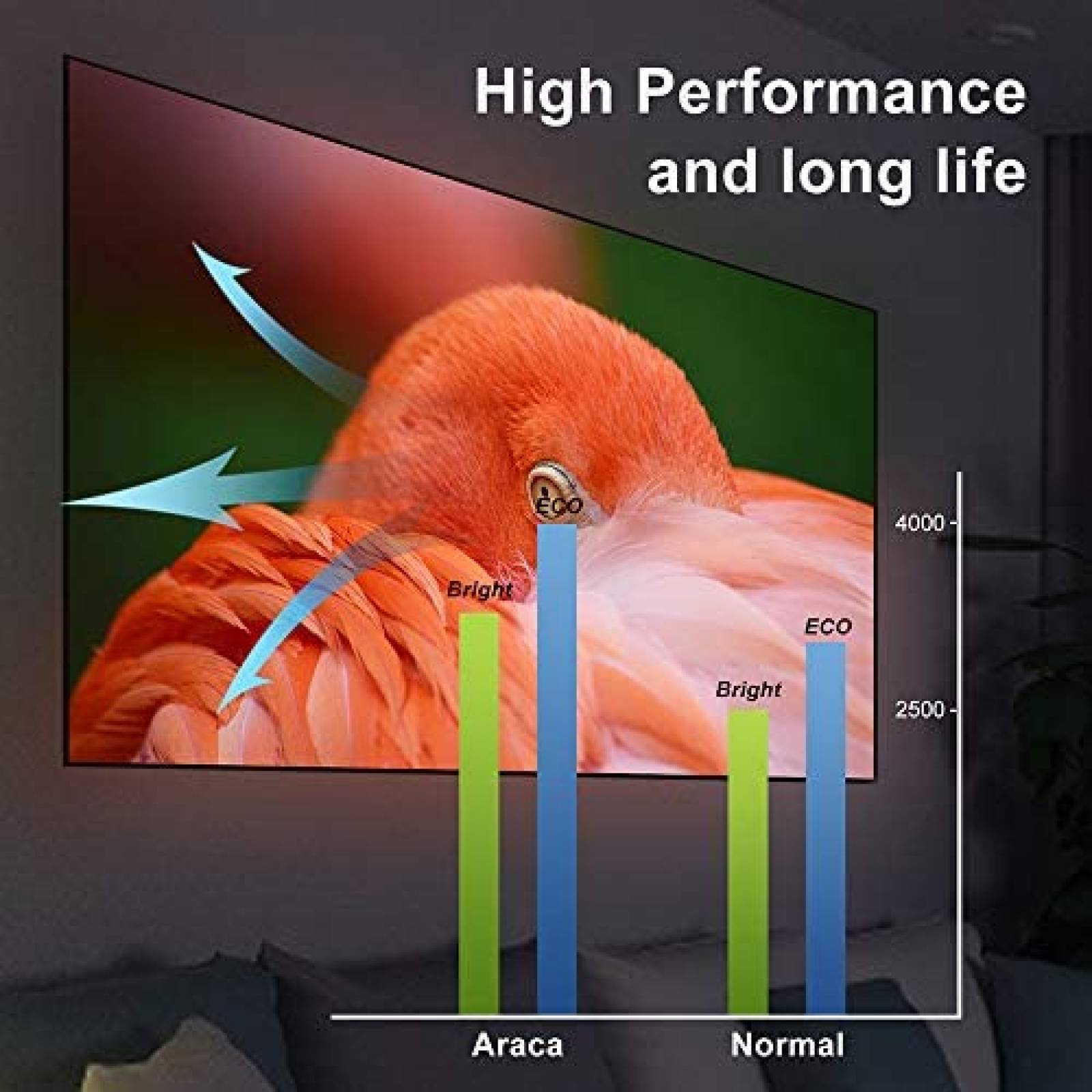 Lampara de Proyector Araca BL-FP240G de OPTOMA HD143X -Gris