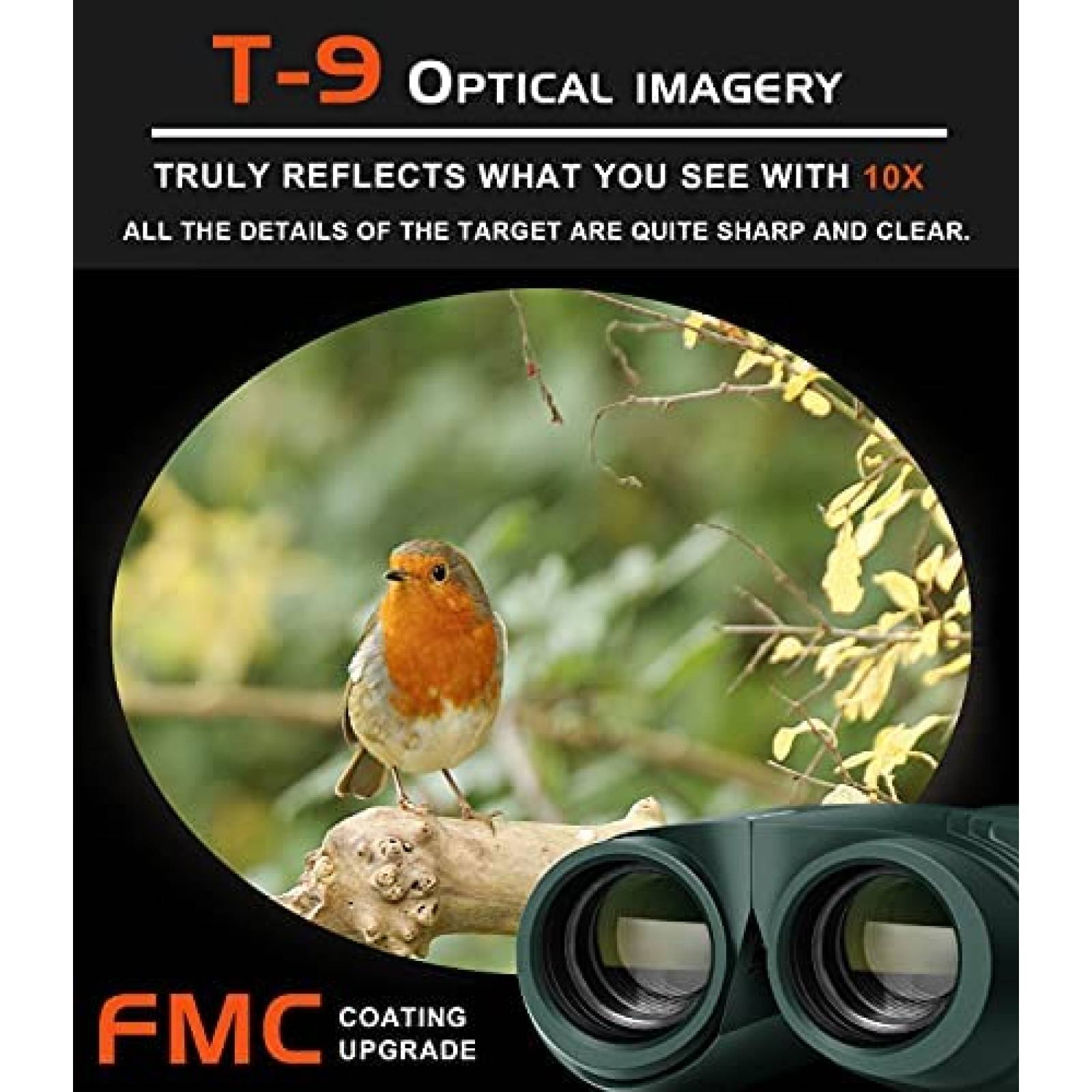 Binoculares Alatino 10x25 compactos 6ft de enfoque -Negro